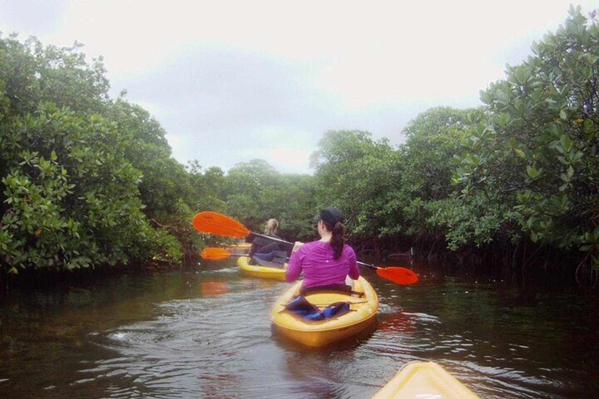 Key Largo Kayak or Paddle Board Rental 1 hr - Image 3