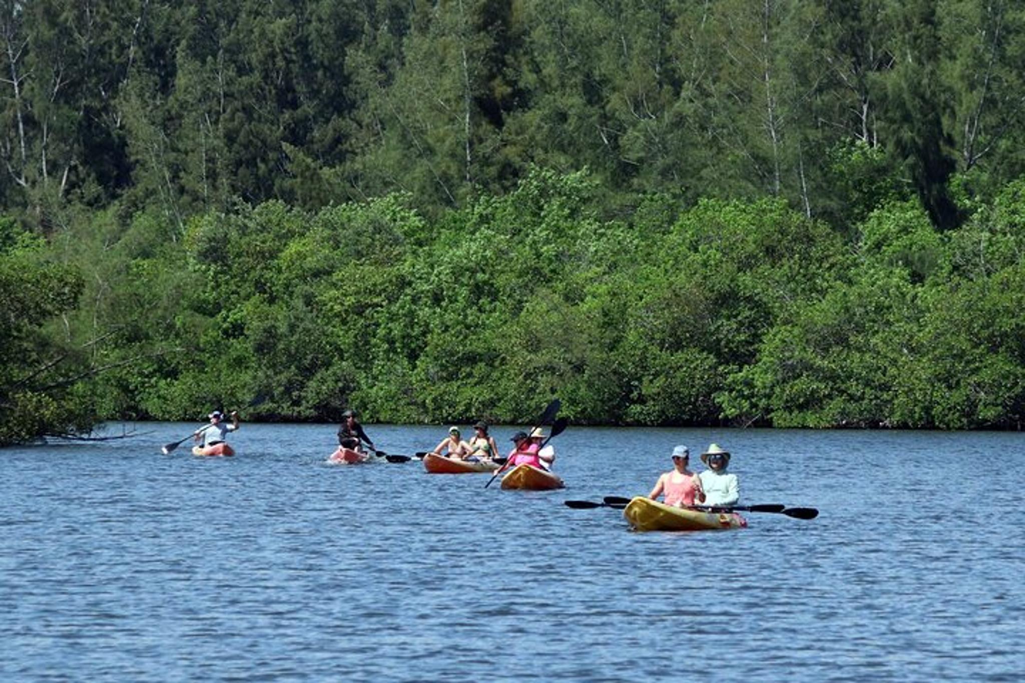 Vero Beach Kayak and Paddle Board Tour