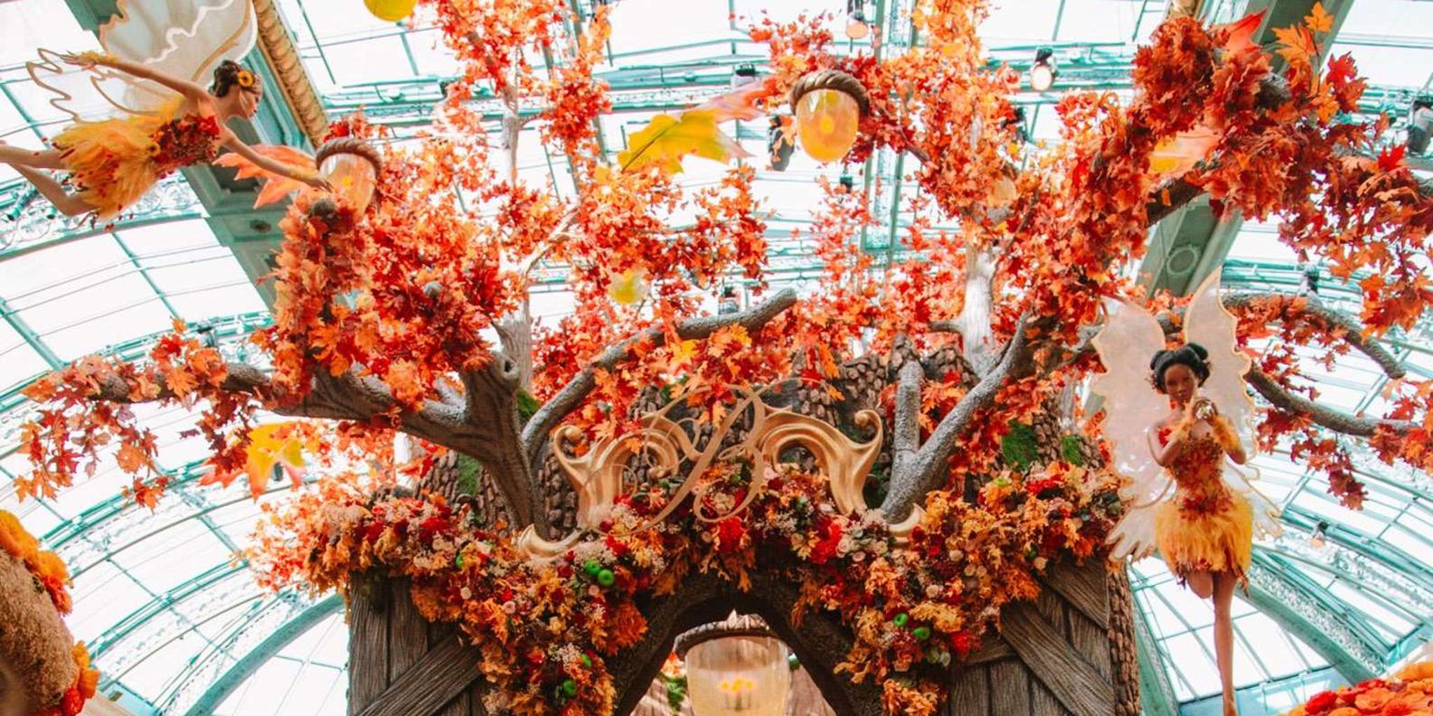 Las Vegas Vacation Photoshoot - Image 5