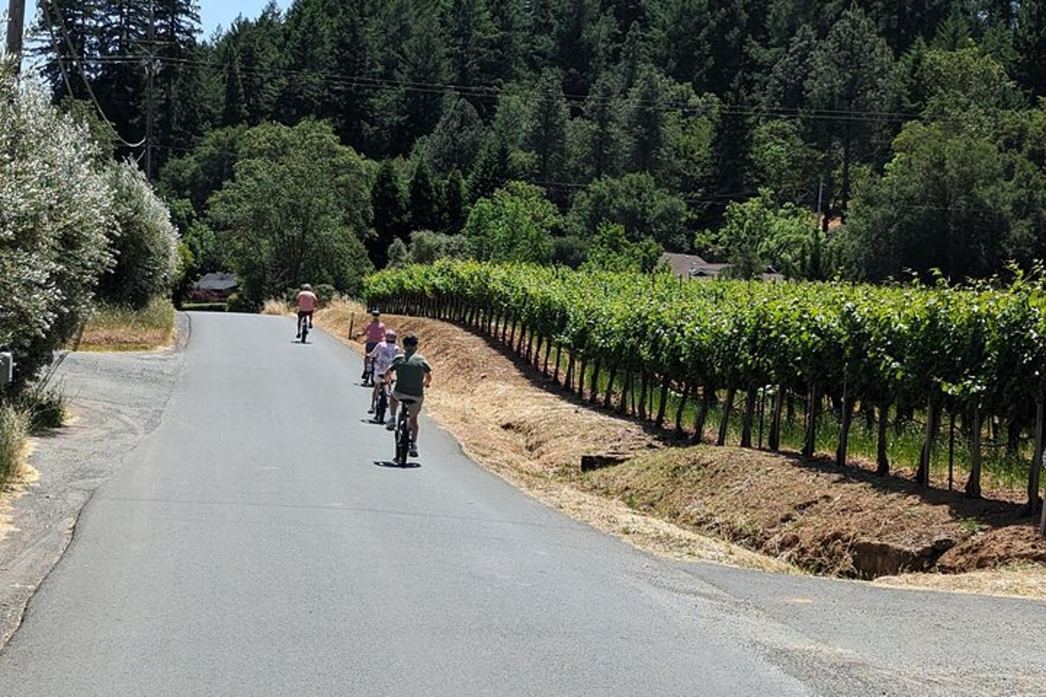 Sonoma Electric Bike Wine Tasting Tour with Lunch - Image 6