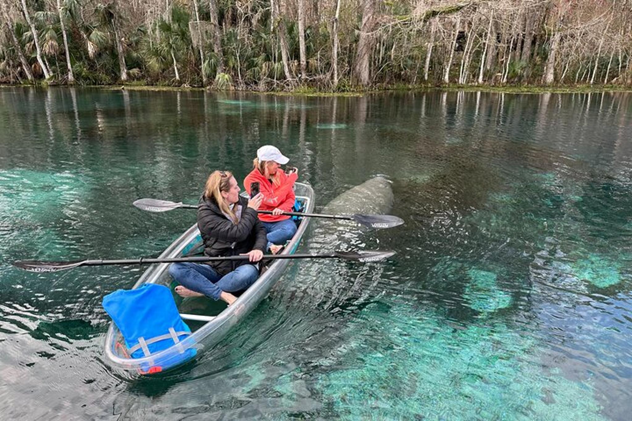 Silver Springs Self-Guided Clear Kayak Tour 2 hr - Image 6