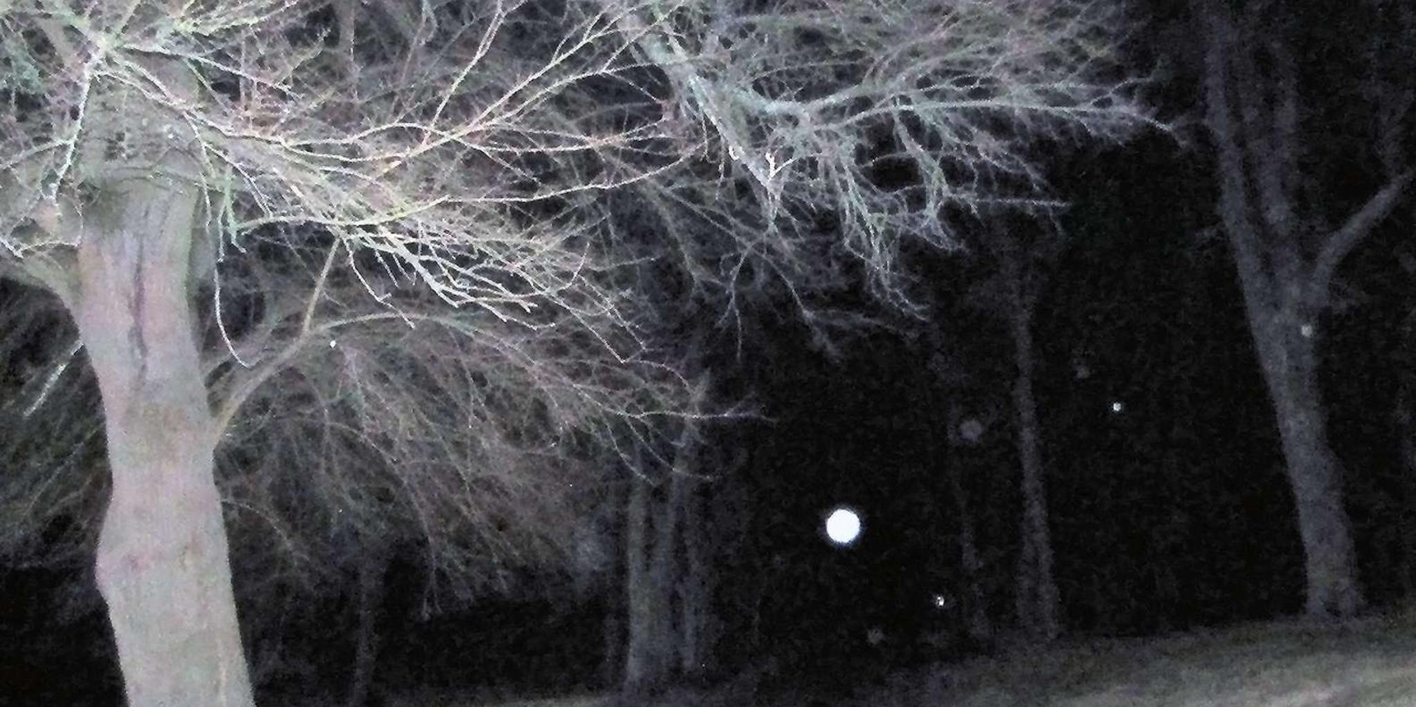 Gettysburg Ghost Hunt Tour with Equipment 1.5 hr - Image 2