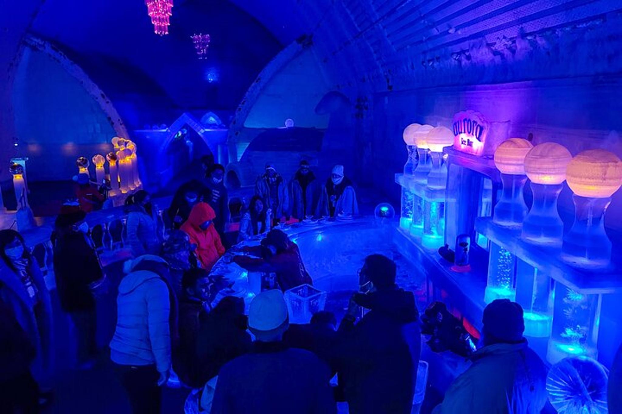 Fairbanks Hot Springs Aurora Viewing Tour - Image 4