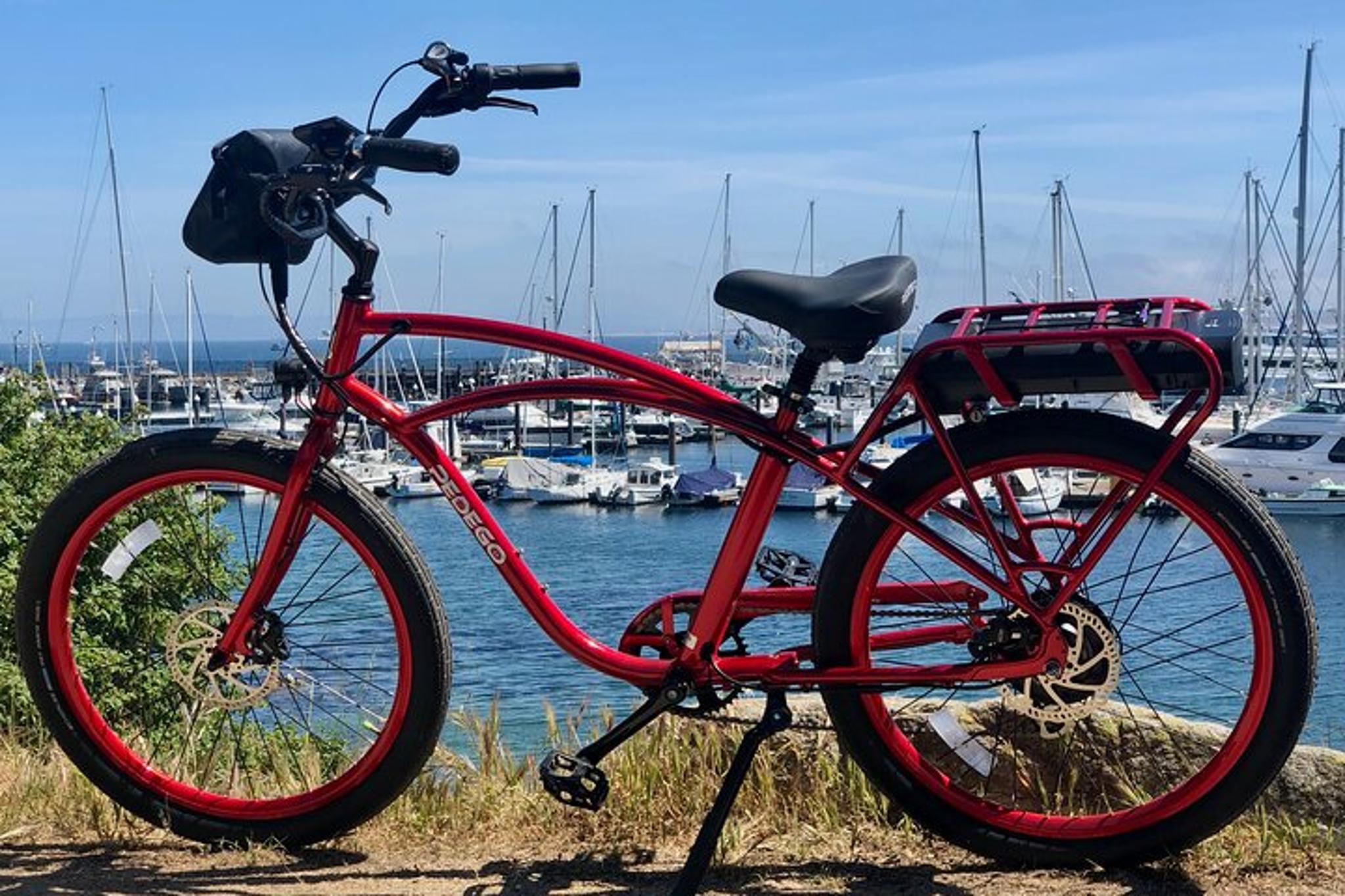 Monterey Electric Bike Rental on 17 Mile Drive - Image 5