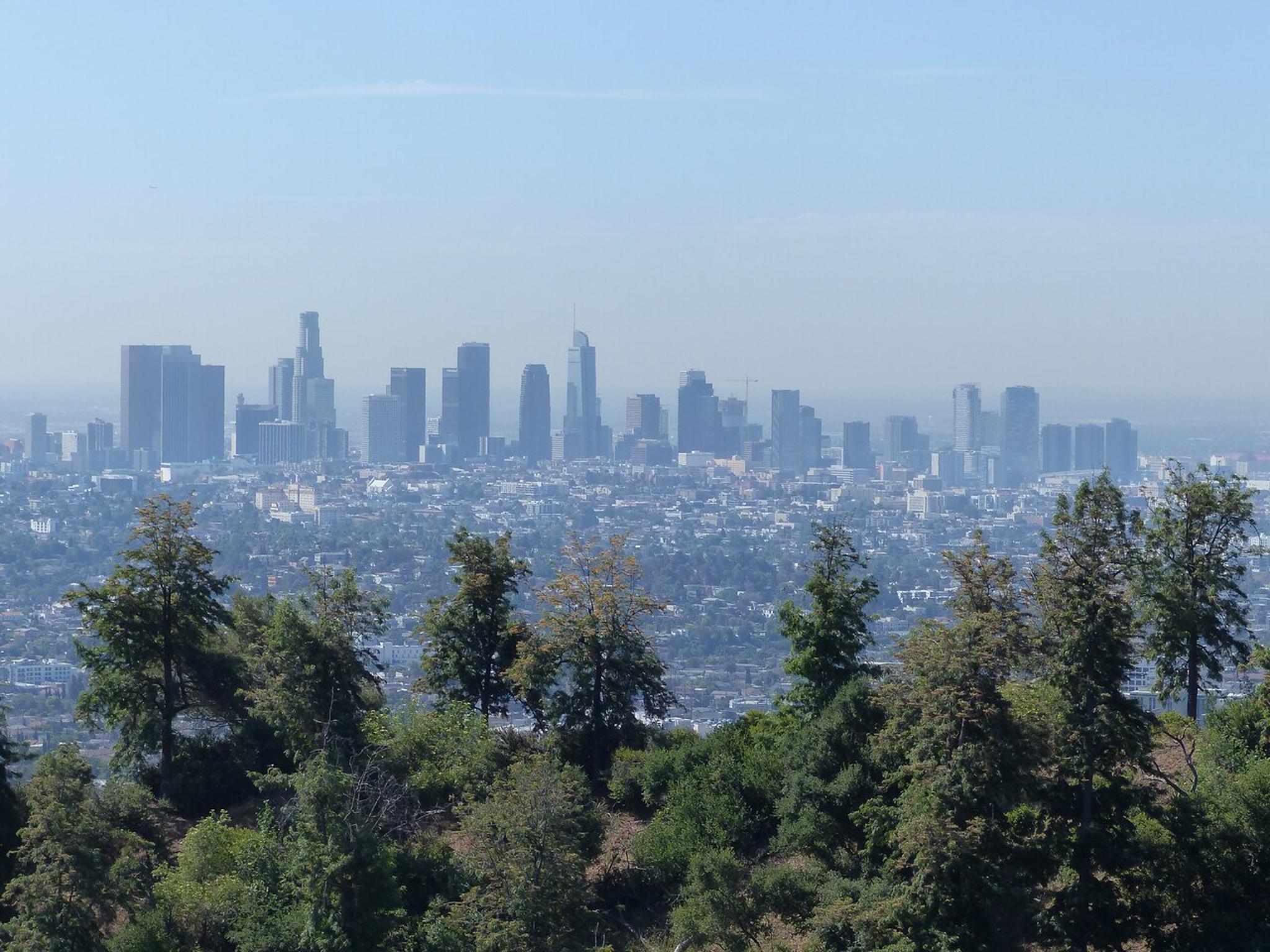 Los Angeles Hollywood and Beverly Hills Tour 3.5 hr - Image 6