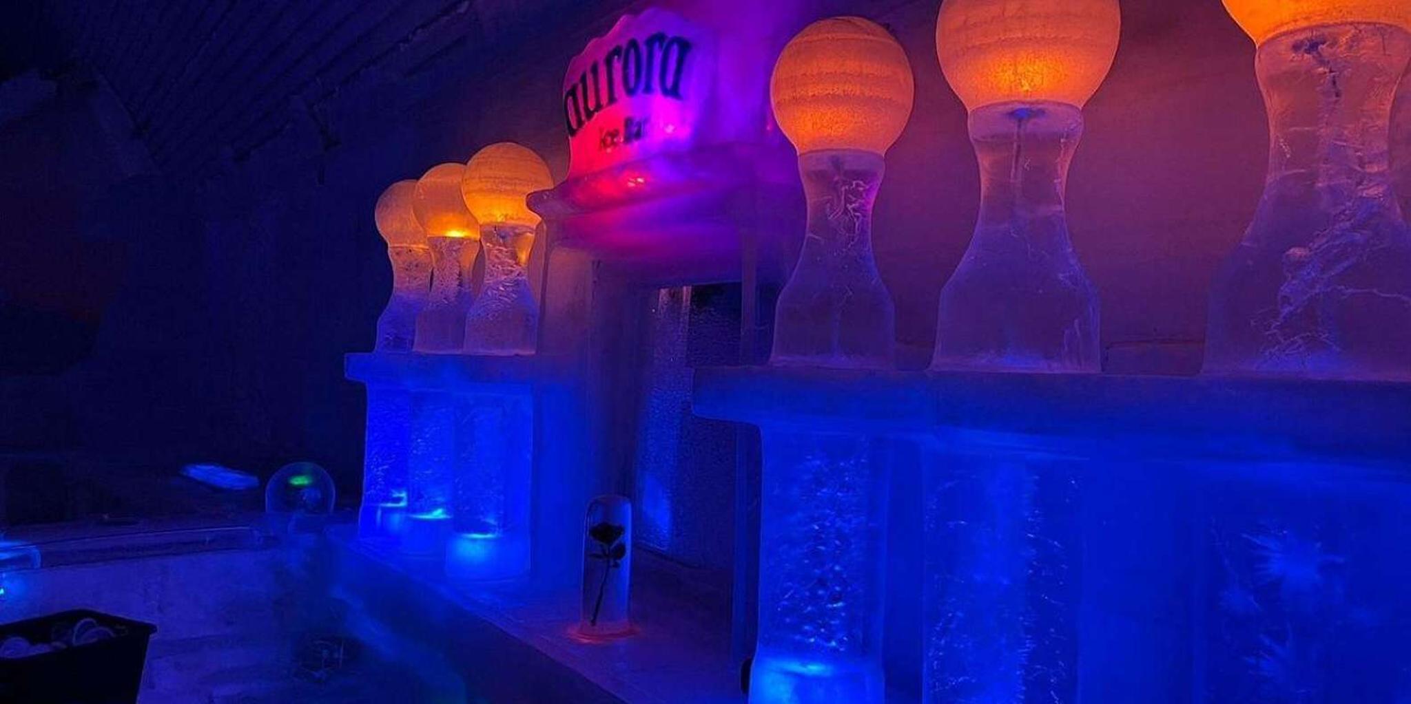 Fairbanks Northern Lights and Chena Hot Springs Tour - Image 4