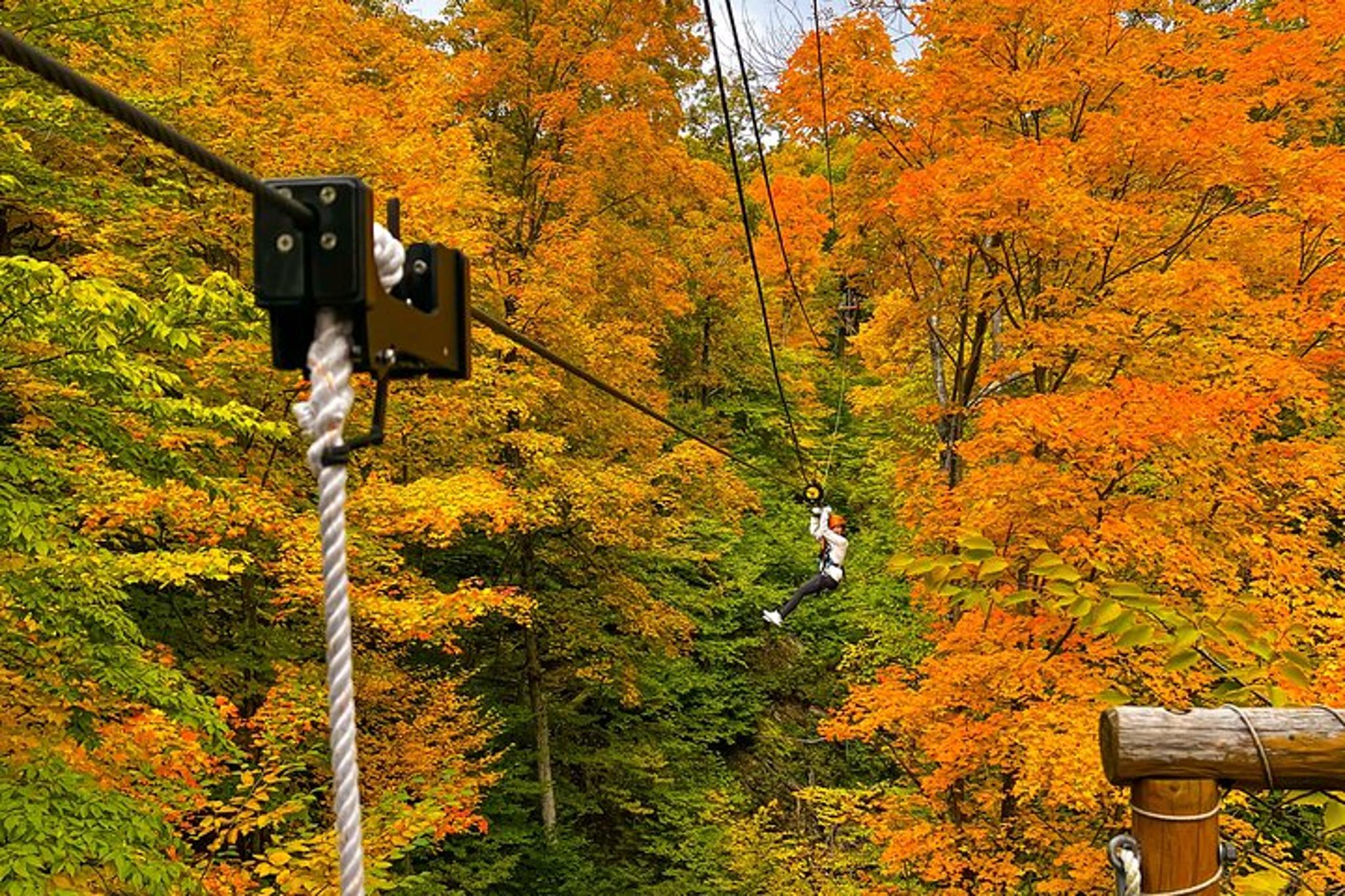 Bristol Mountain Zipline Canopy Activity - Image 4