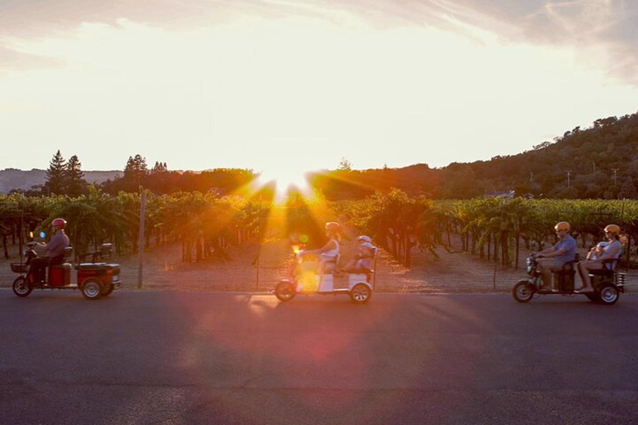 Sonoma Wine Country Electric Trike Tour 5 hr - Image 3