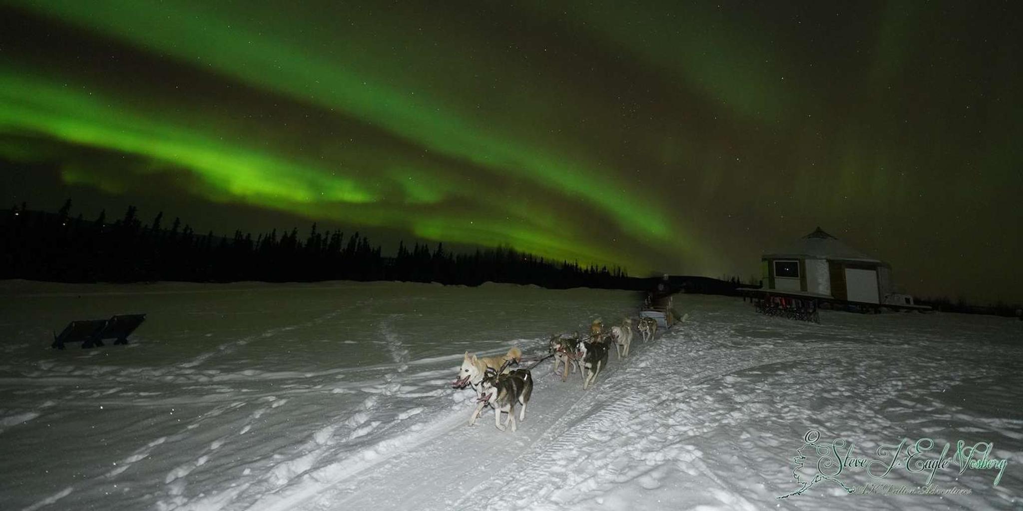 Fairbanks Northern Lights Dog Sled Tour with Dinner - Image 2