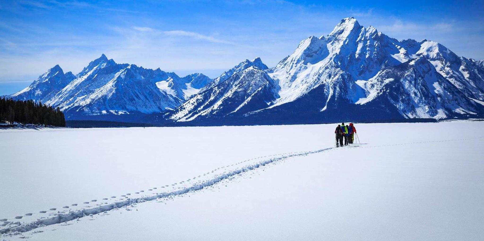 Grand Teton National Park Snowshoe Tour 4 hr - Image 3