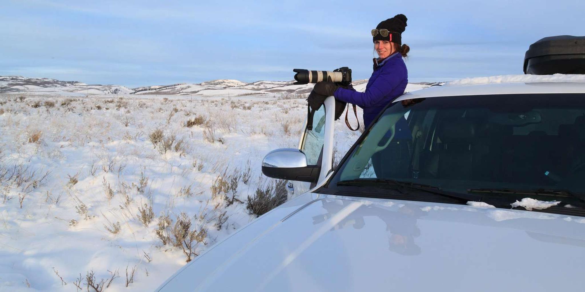 Jackson Hole Grand Teton Winter Wildlife Tour - Image 5
