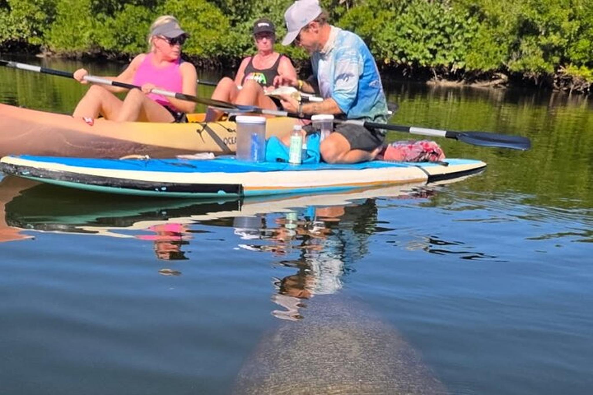 Lovers Key Eco Tour