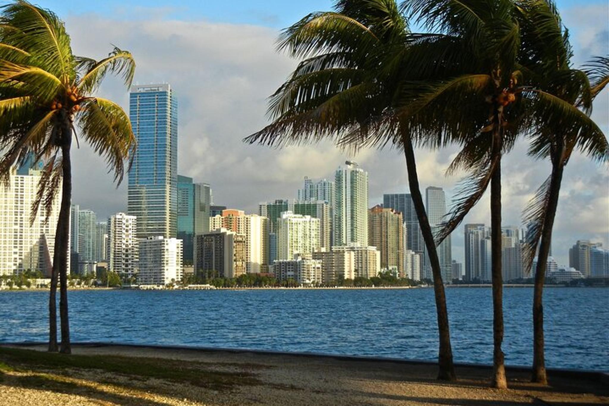 Miami Discovery Private Tour - Image 2
