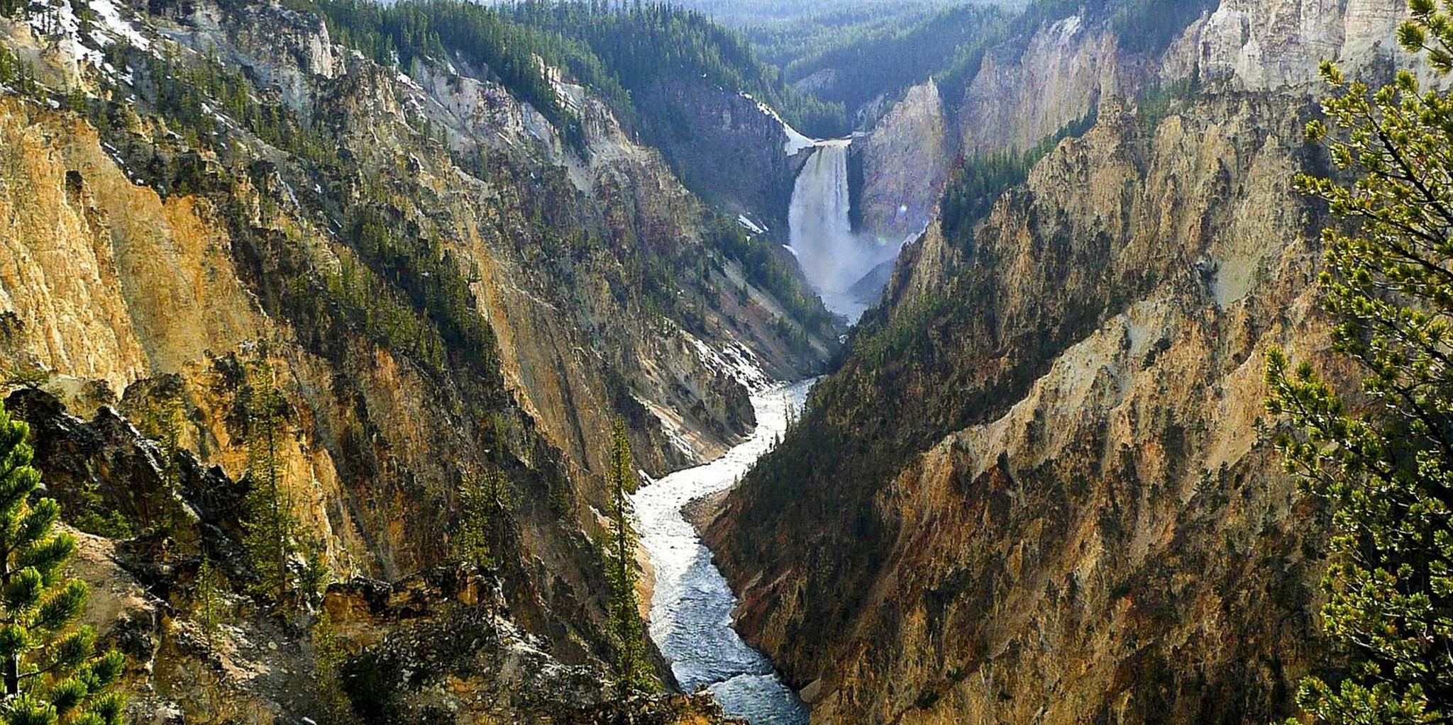 Jackson Yellowstone Lower Loop Day Tour - Image 3