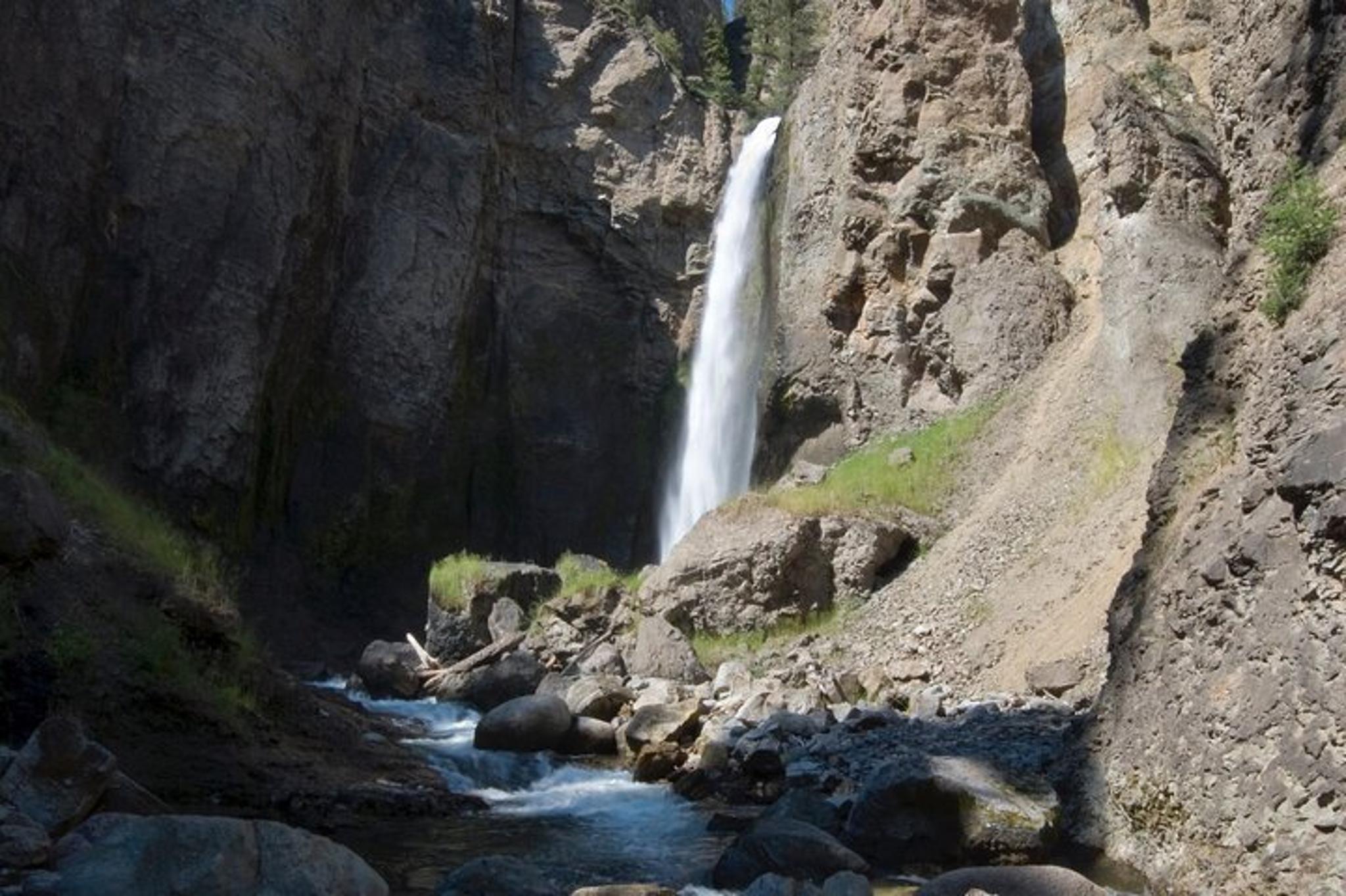 Yellowstone Wildlife and Hot Springs Tour - Image 5