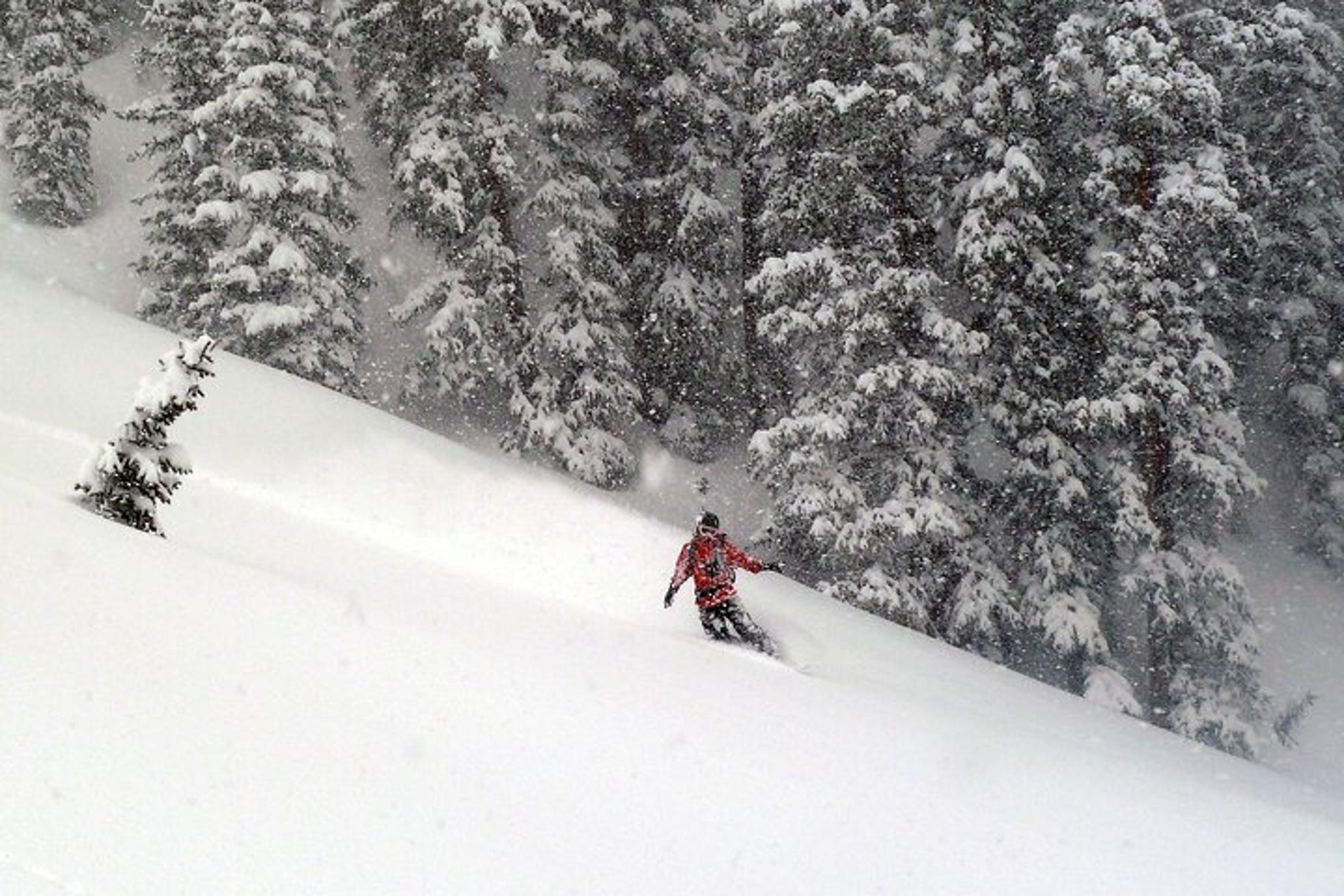 Telluride Backcountry Skiing Adventure - Image 5