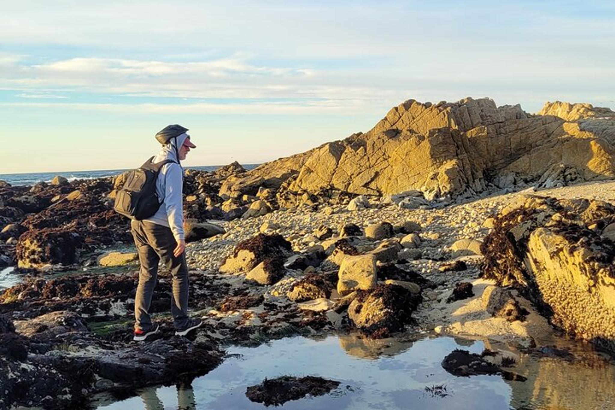 Monterey Electric Bike Tour 17-Mile Drive 3 hr - Image 5