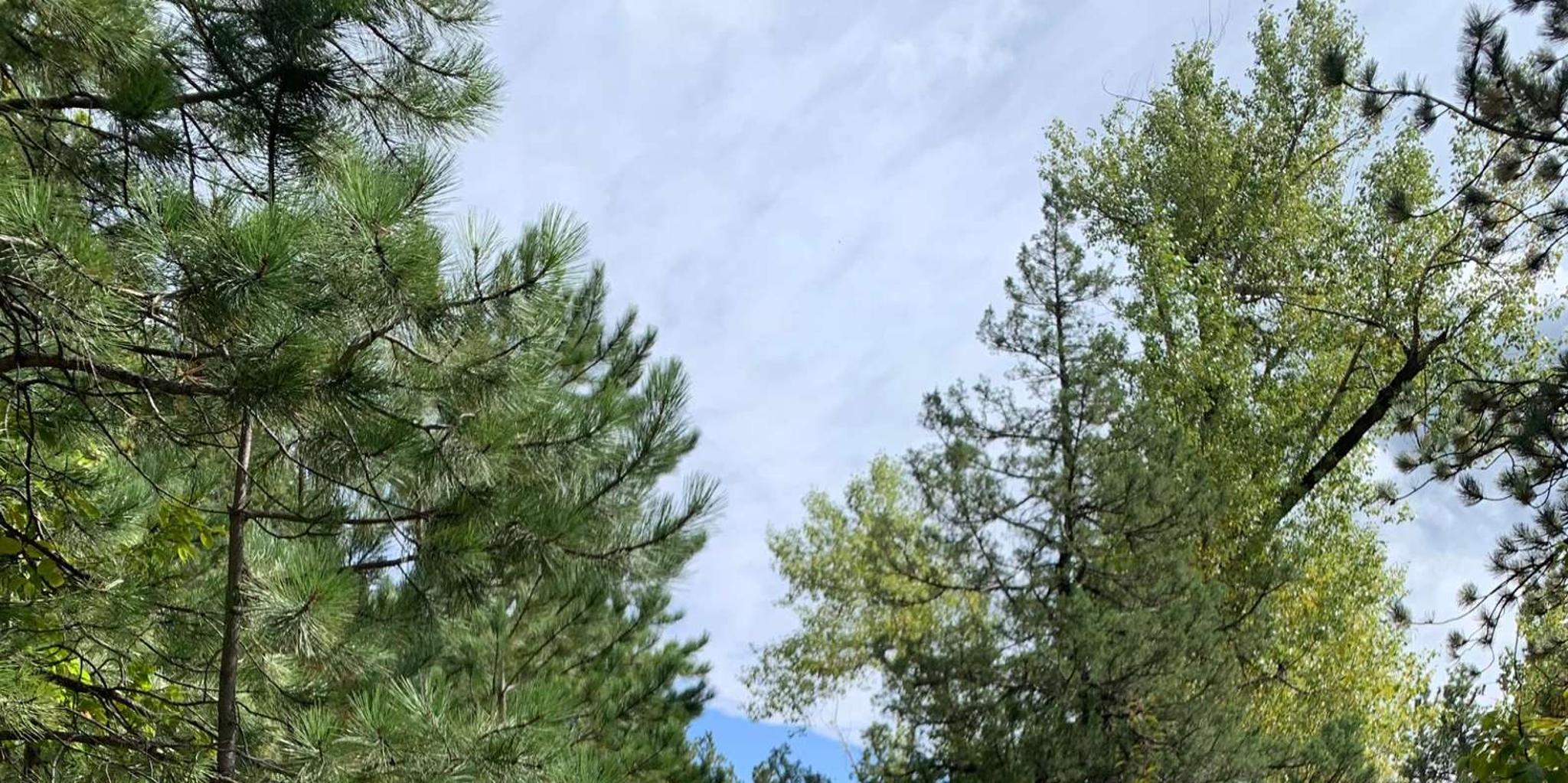 Rapid City Spearfish Canyon Private Tour 7.5 hr - Image 6