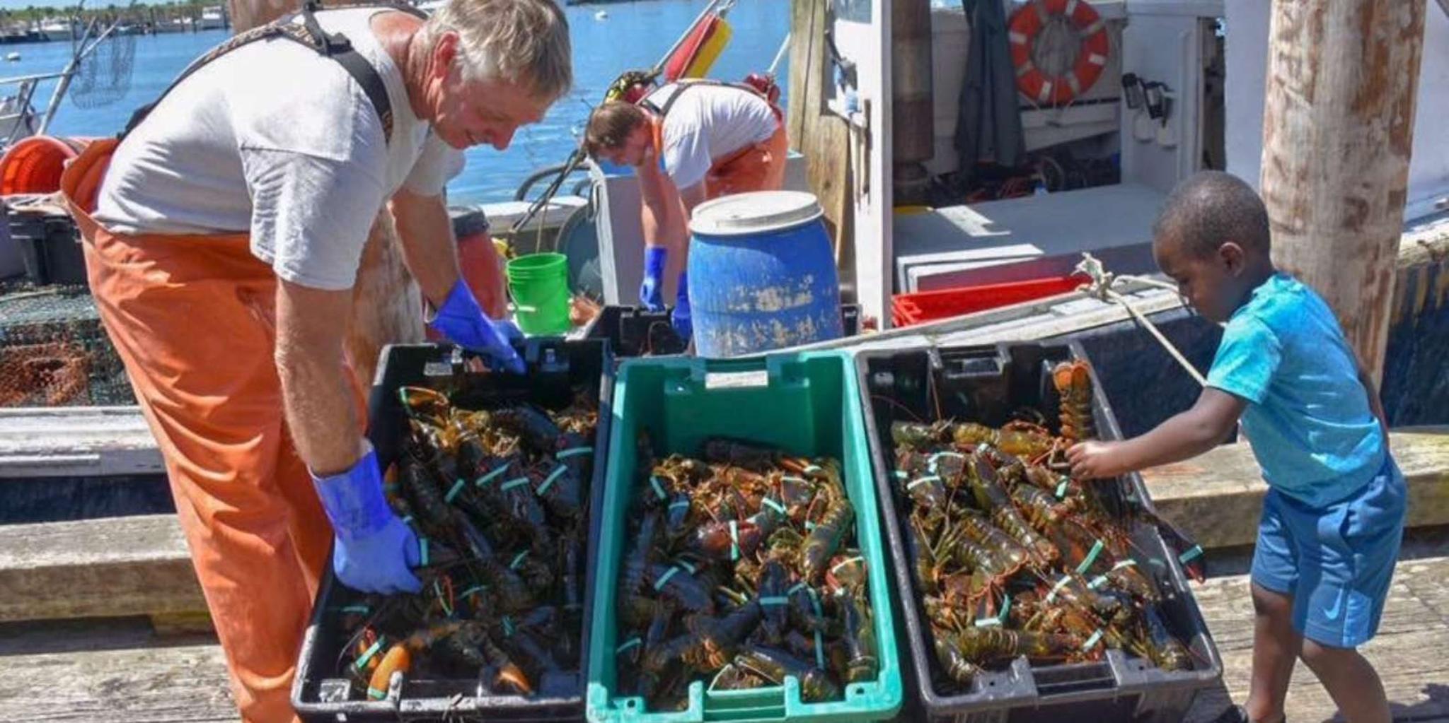 Boston Kennebunkport Day Trip with Lobster Tour