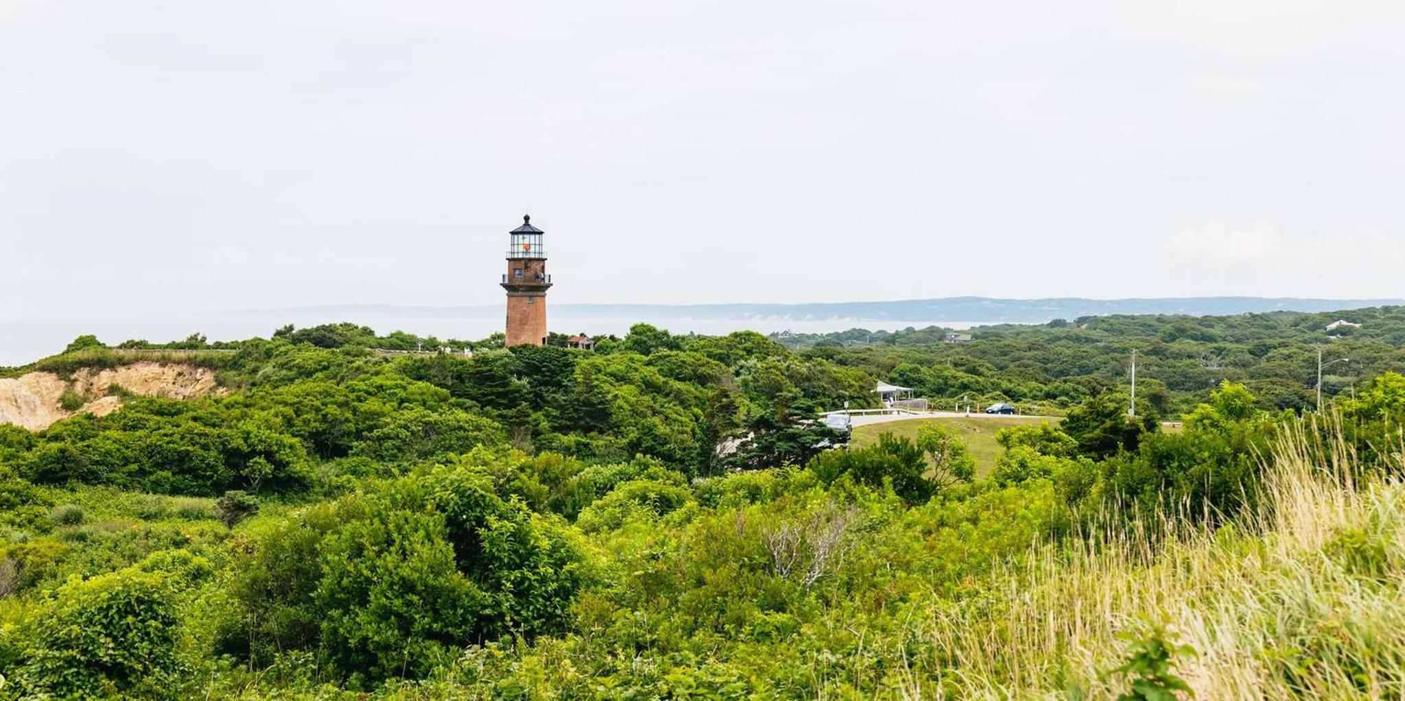 Boston Martha's Vineyard Day Trip with Island Tour Option - Image 2