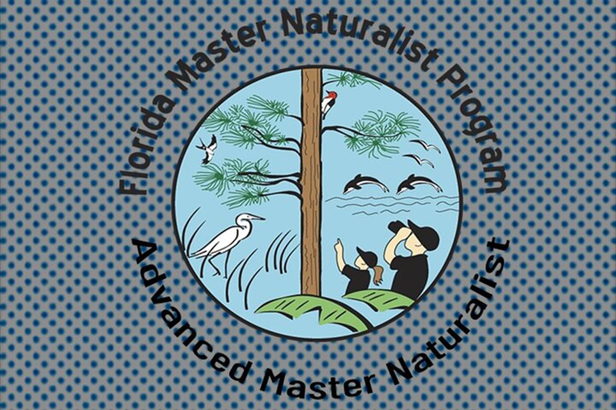 Fernandina Beach Kayak Eco Tour - Image 3