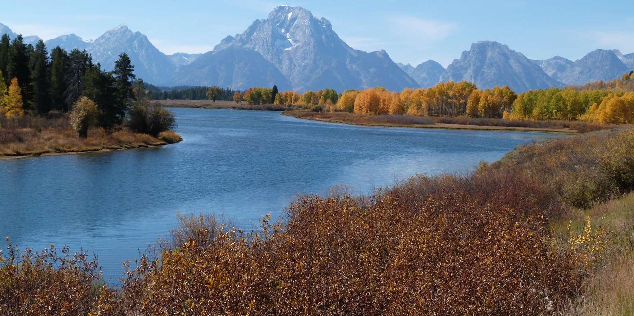 Jackson Grand Teton National Park Tour 4 hr - Image 5