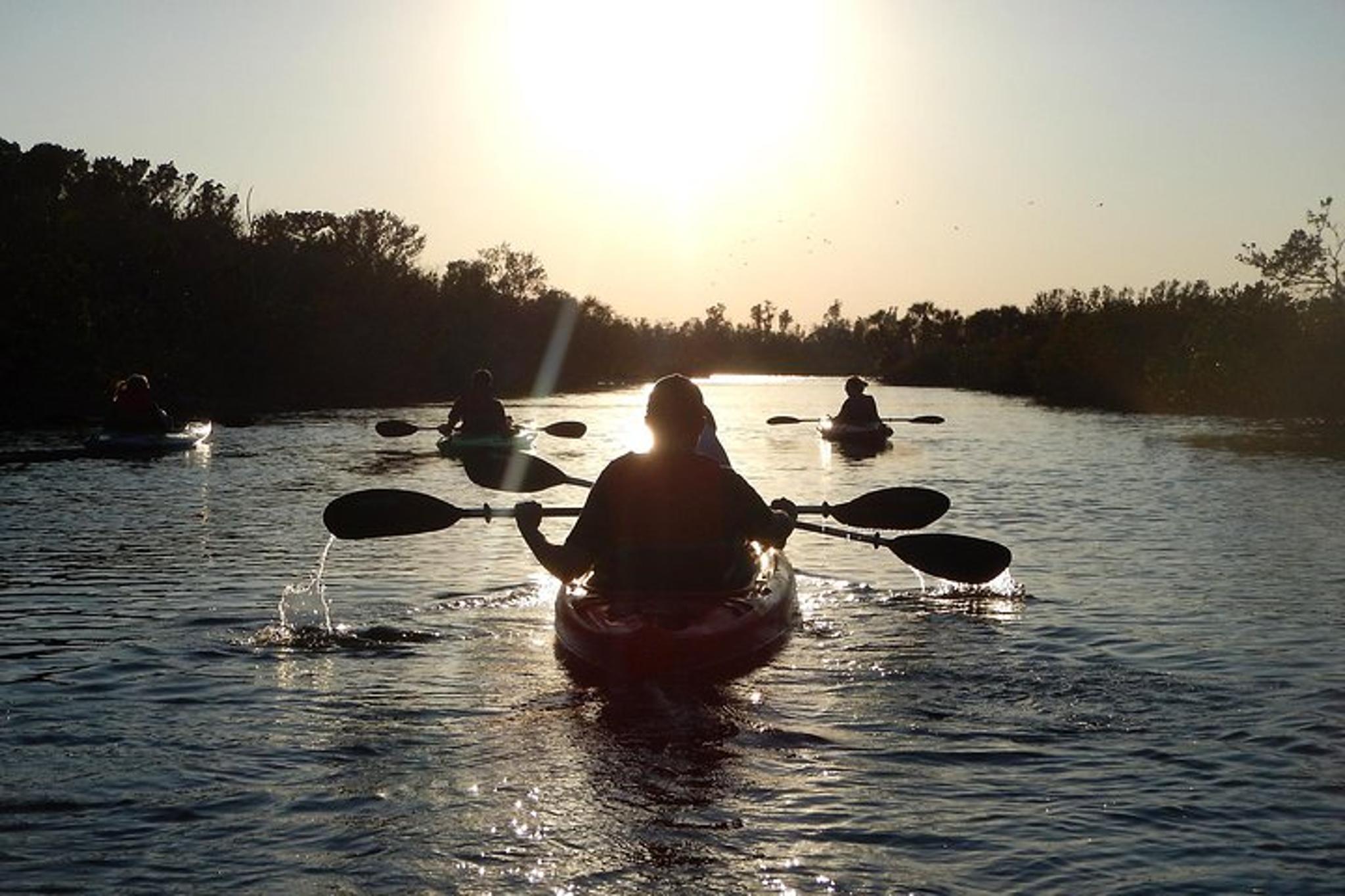 Titusville Manatee and Bioluminescence Kayak Tour - Image 2