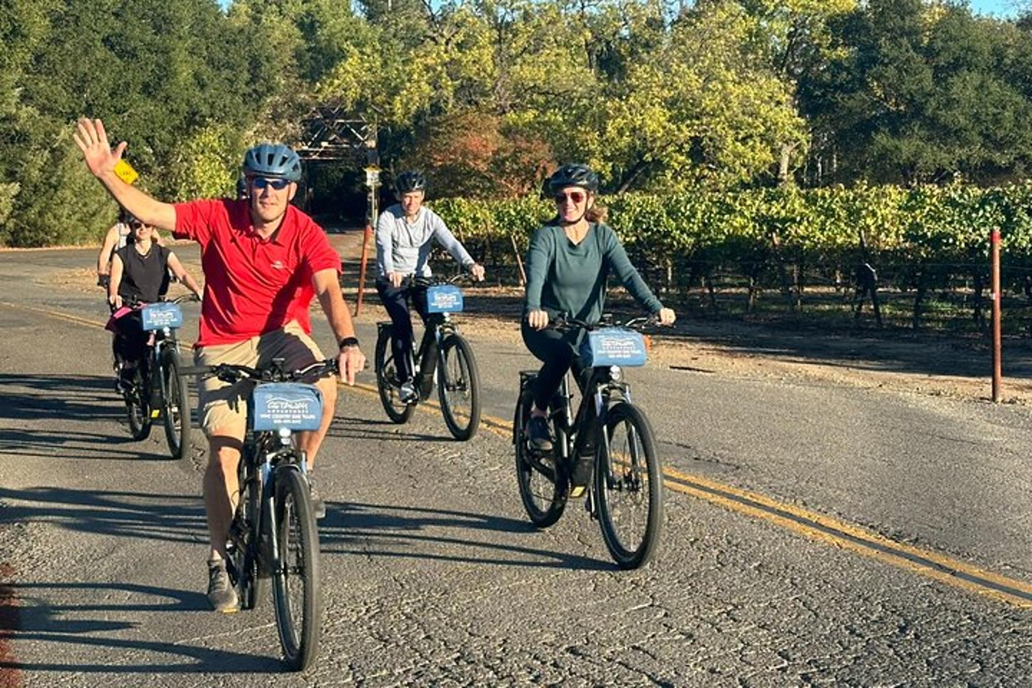 Healdsburg Wine Country Bike and Tasting Tour - Image 2