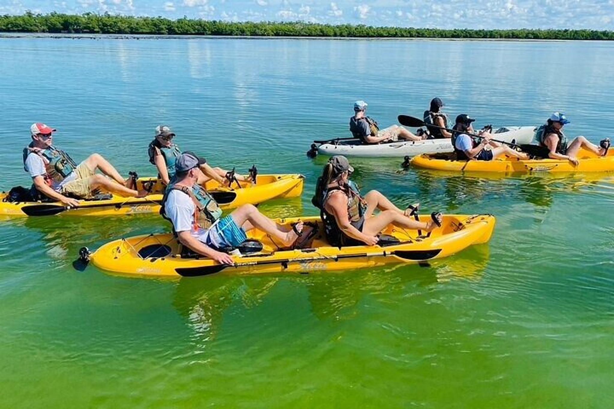 Marco Island Pedal Kayak Tour - Image 6