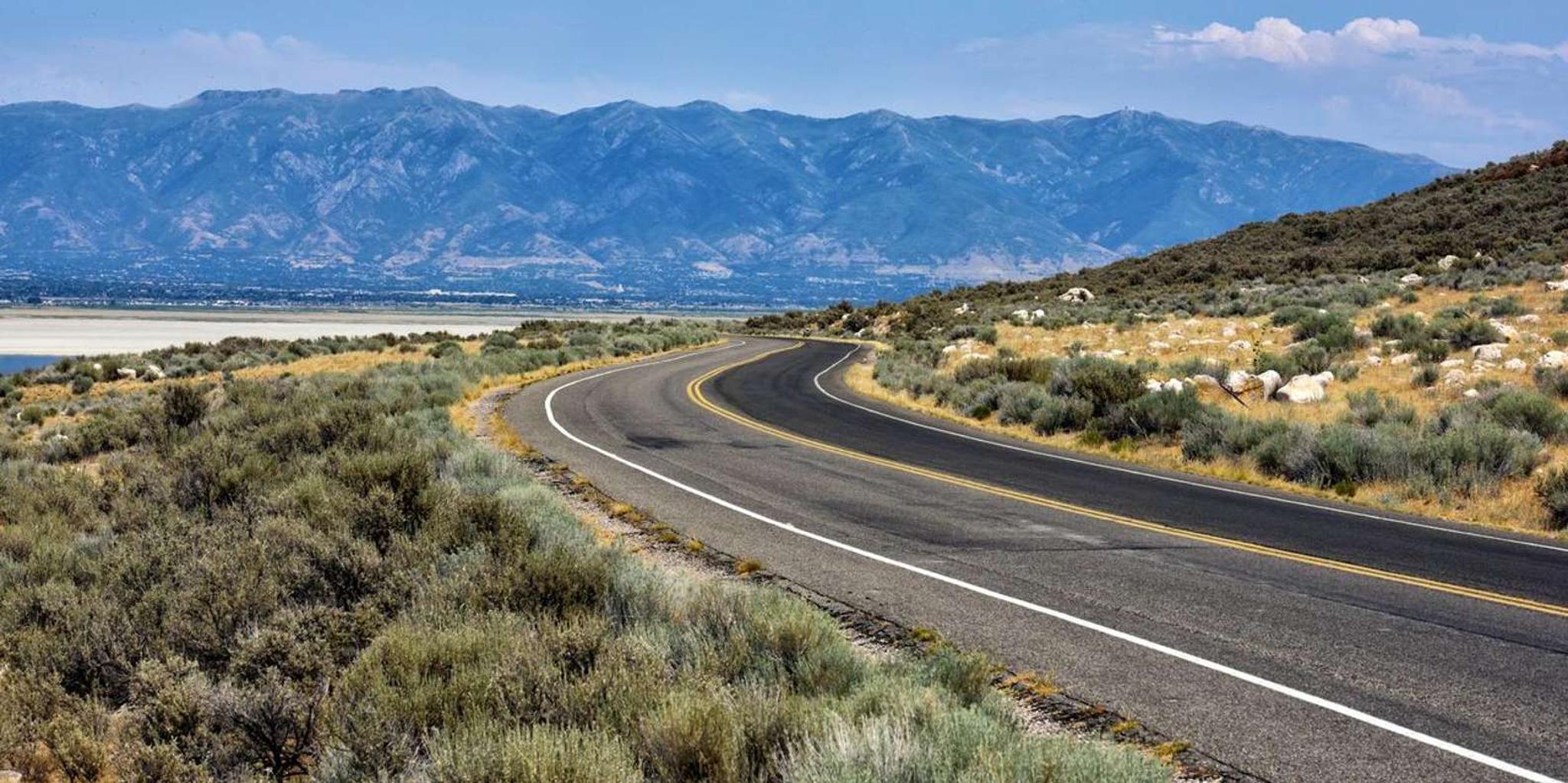 Antelope Island Wildlife Expedition - Image 6