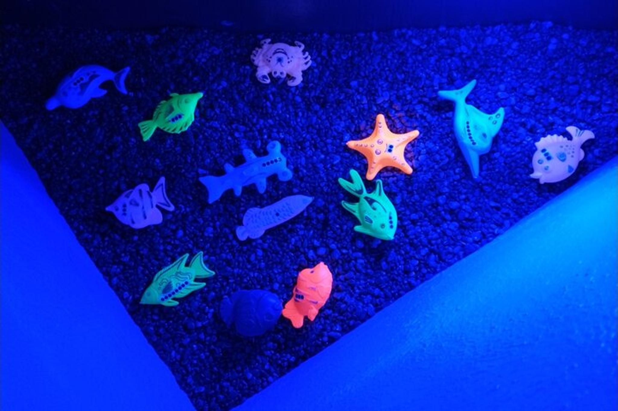 Puzzle Room Experience for Kids in Denver - Image 4