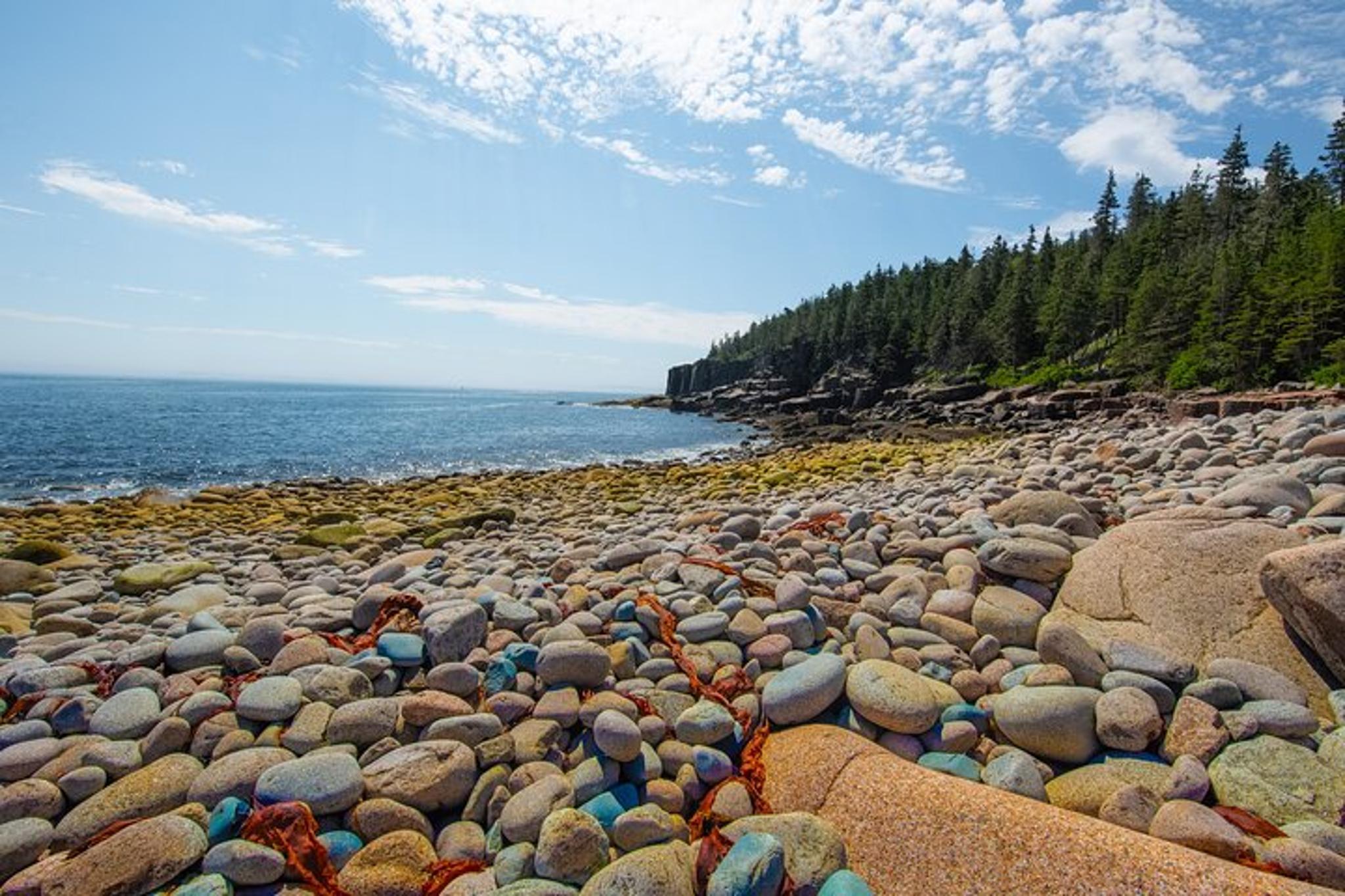 Acadia National Park Private Tour - Image 6