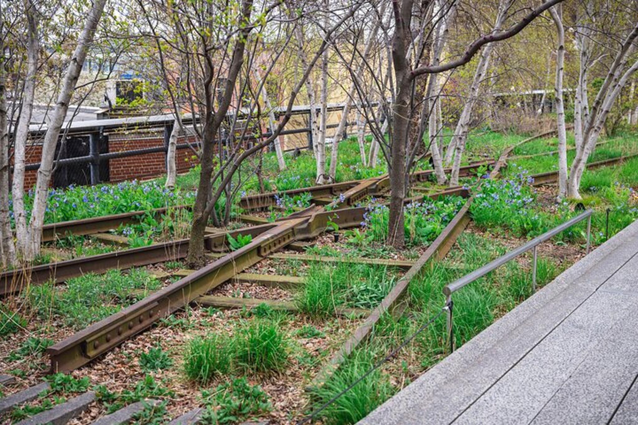 New York City High Line and Chelsea Market Tour - Image 5