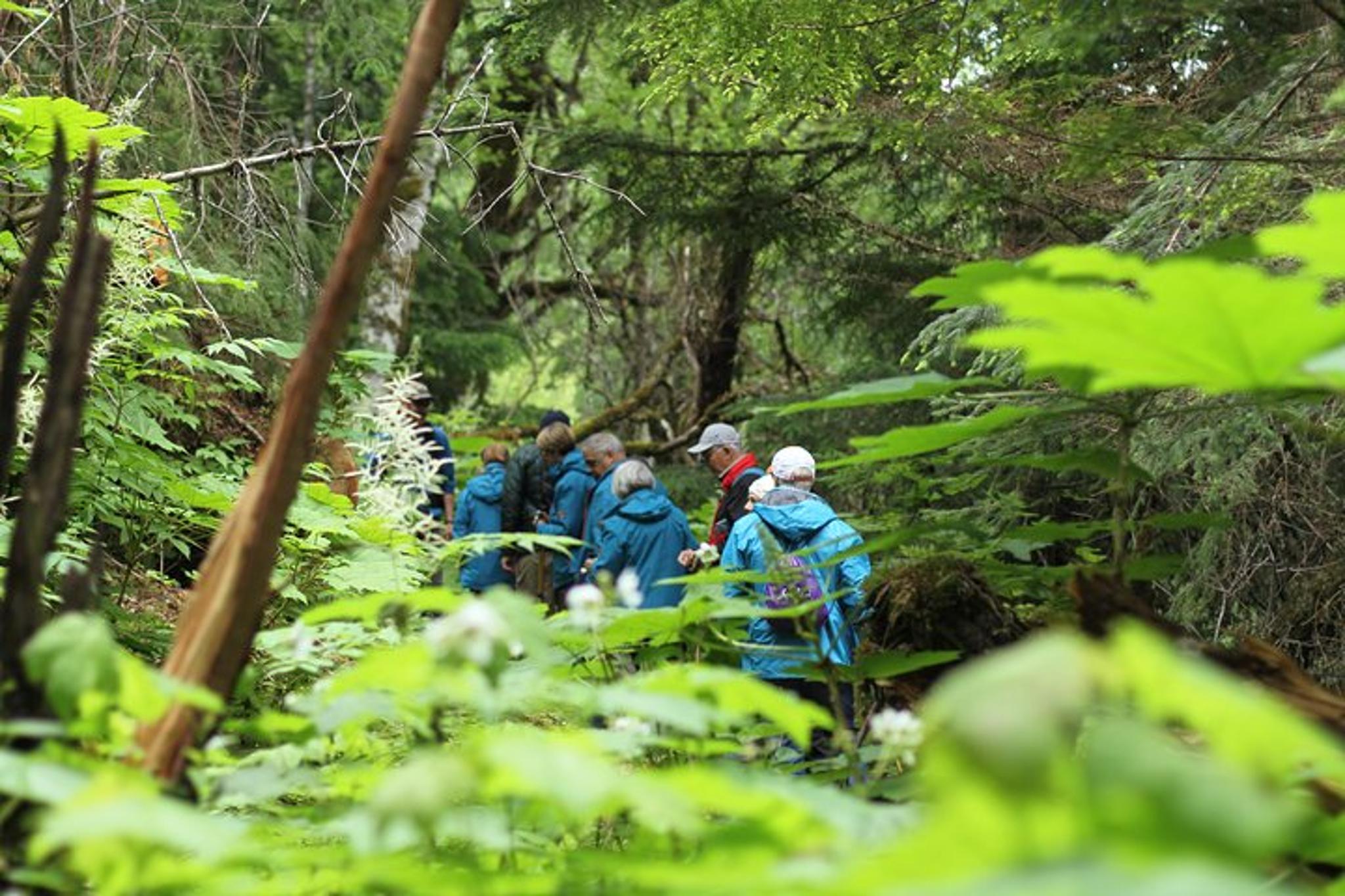 Haines Coastal Hike in Chilkat Inlet