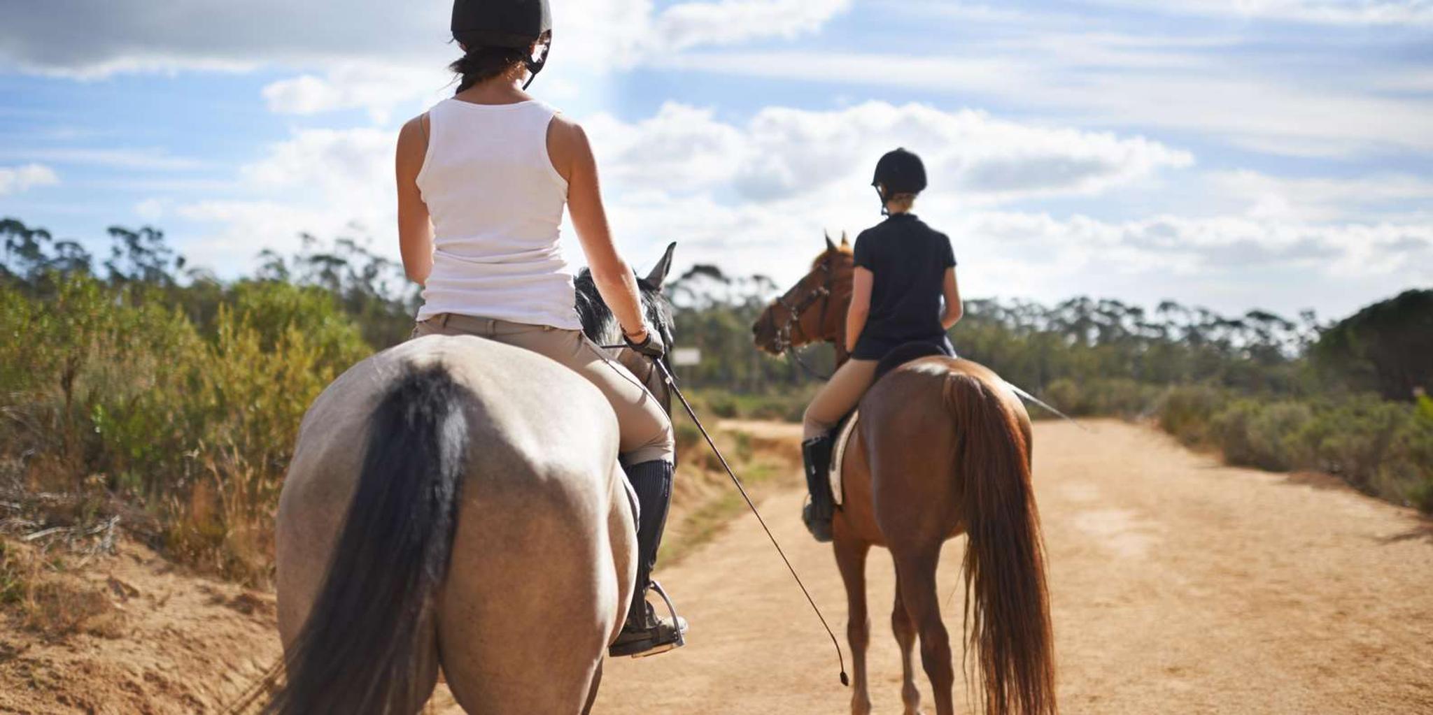 Kauai Scenic Horseback Ride - Image 4