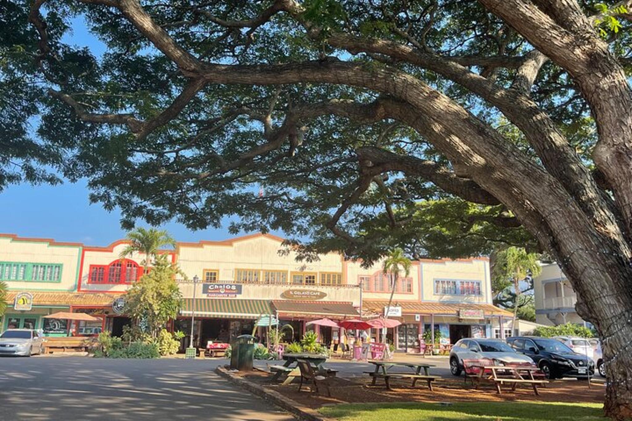 Oahu Circle Island Tour North Shore and East Side - Image 5