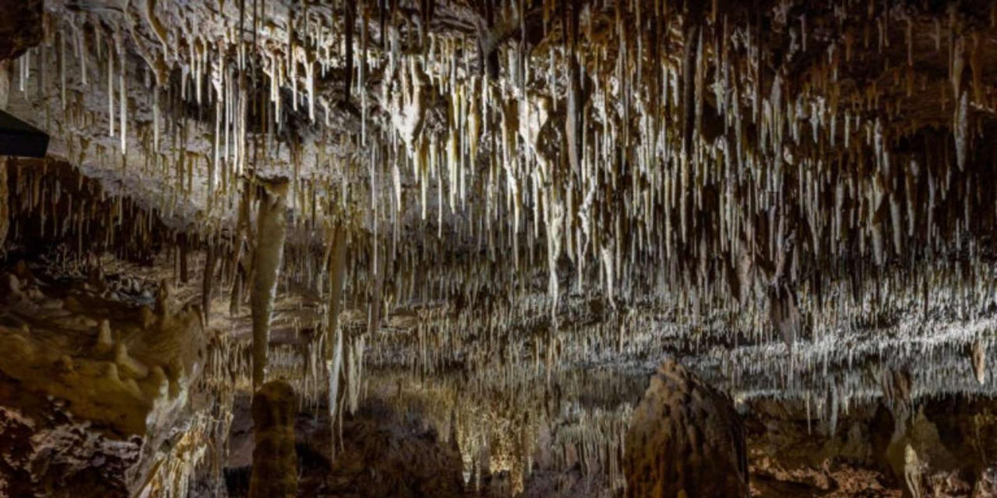 San Antonio Natural Bridge Caverns Tour - Image 6