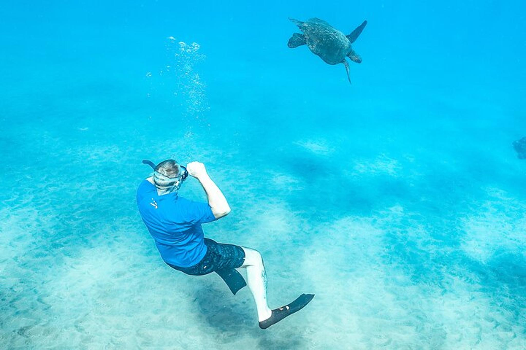 Maui Molokini & Turtle Town Snorkel Adventure - Image 3