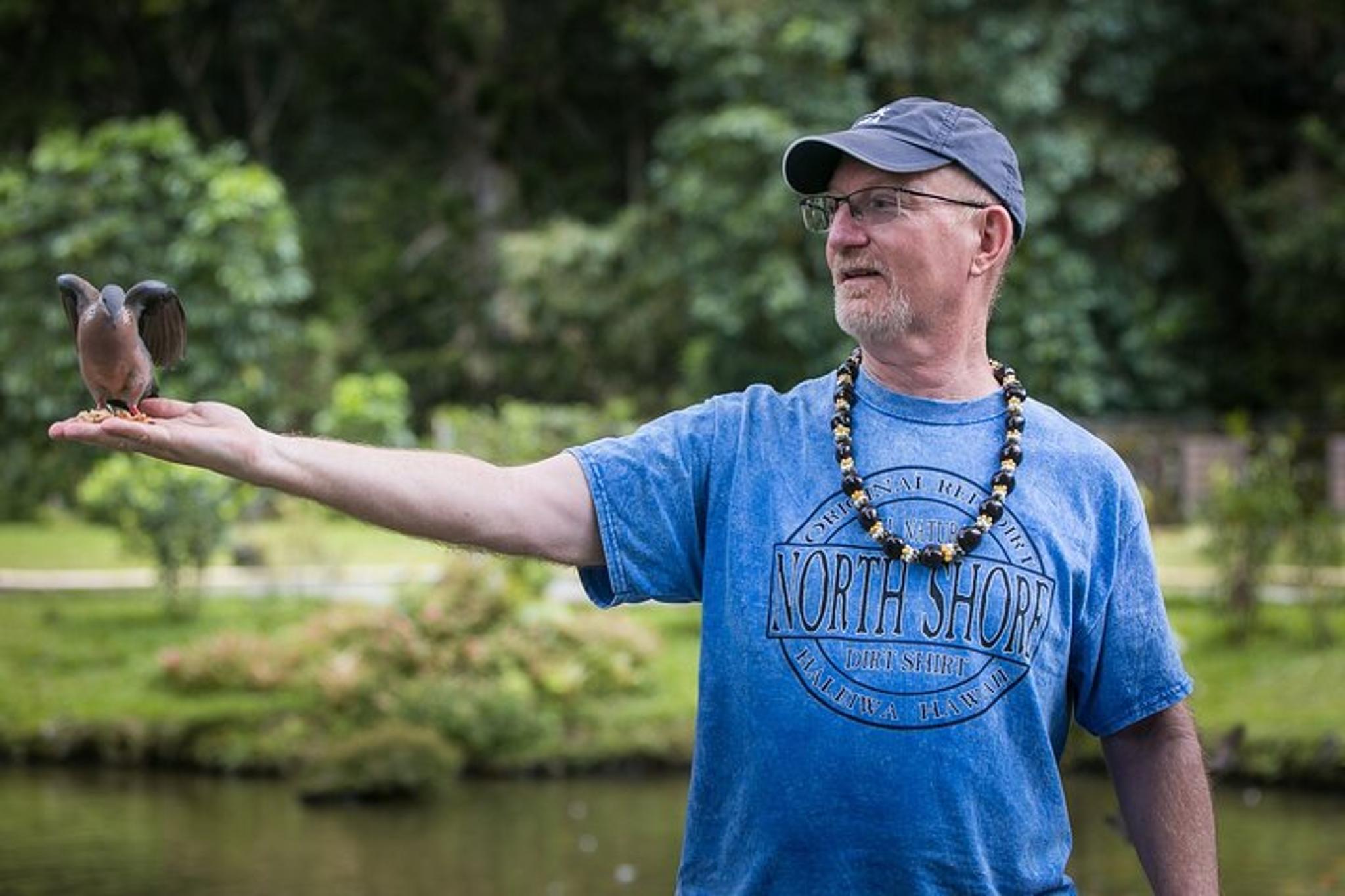 Oahu Private Tour - Image 1