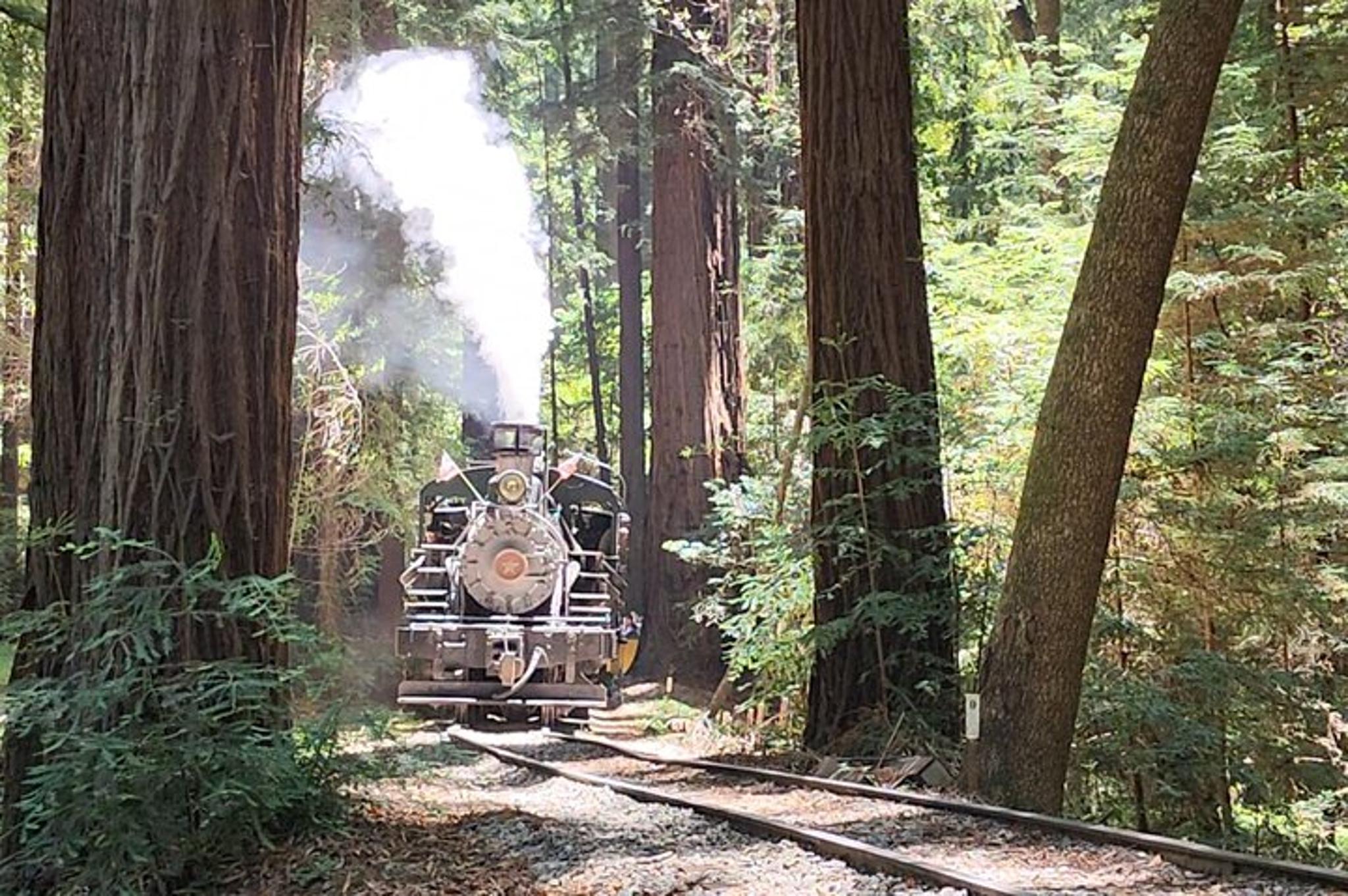 San Francisco Train Ride Adventure through Redwoods