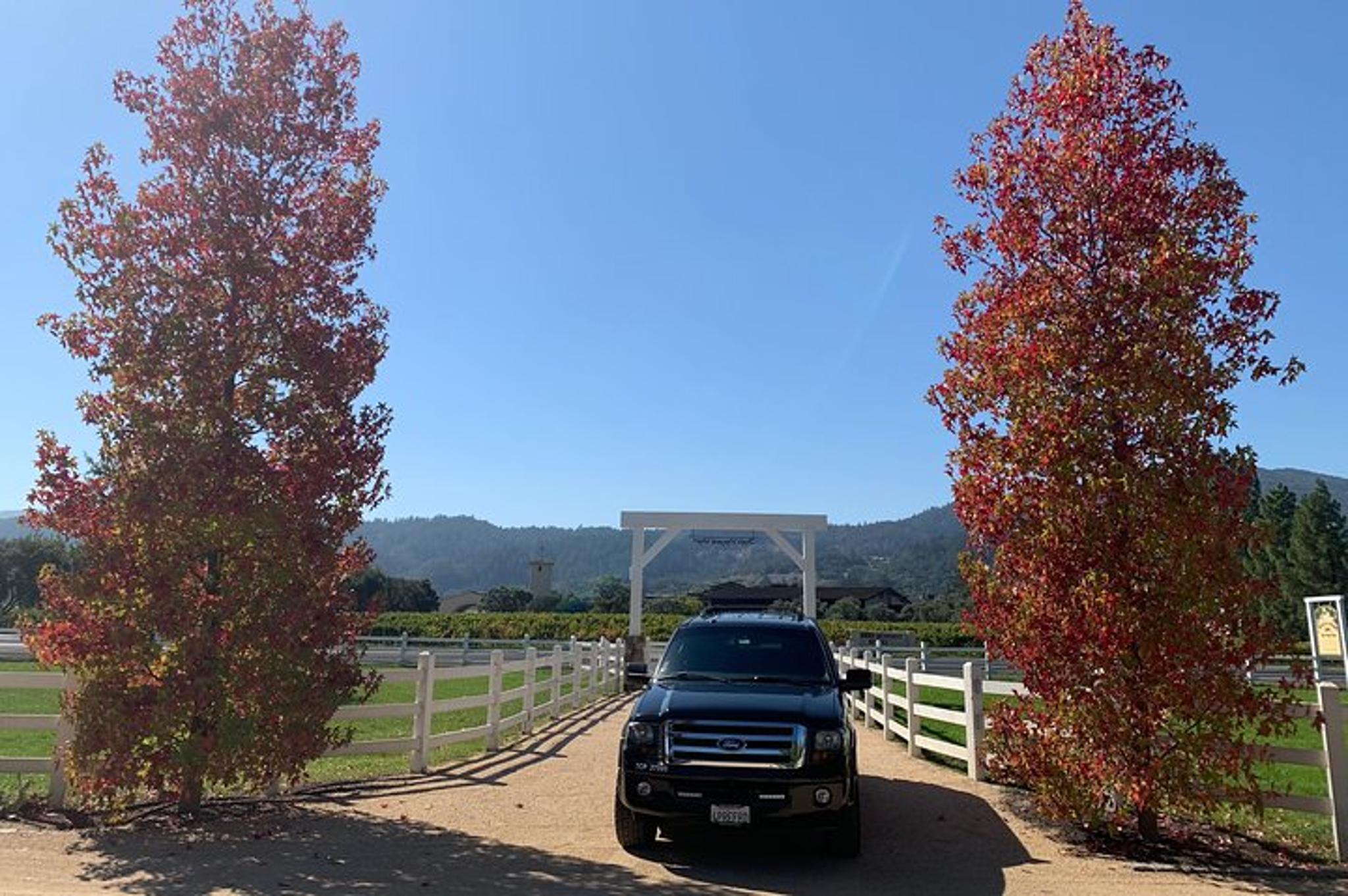 Napa or Sonoma Private Wine Tour 6 Hours - Image 5