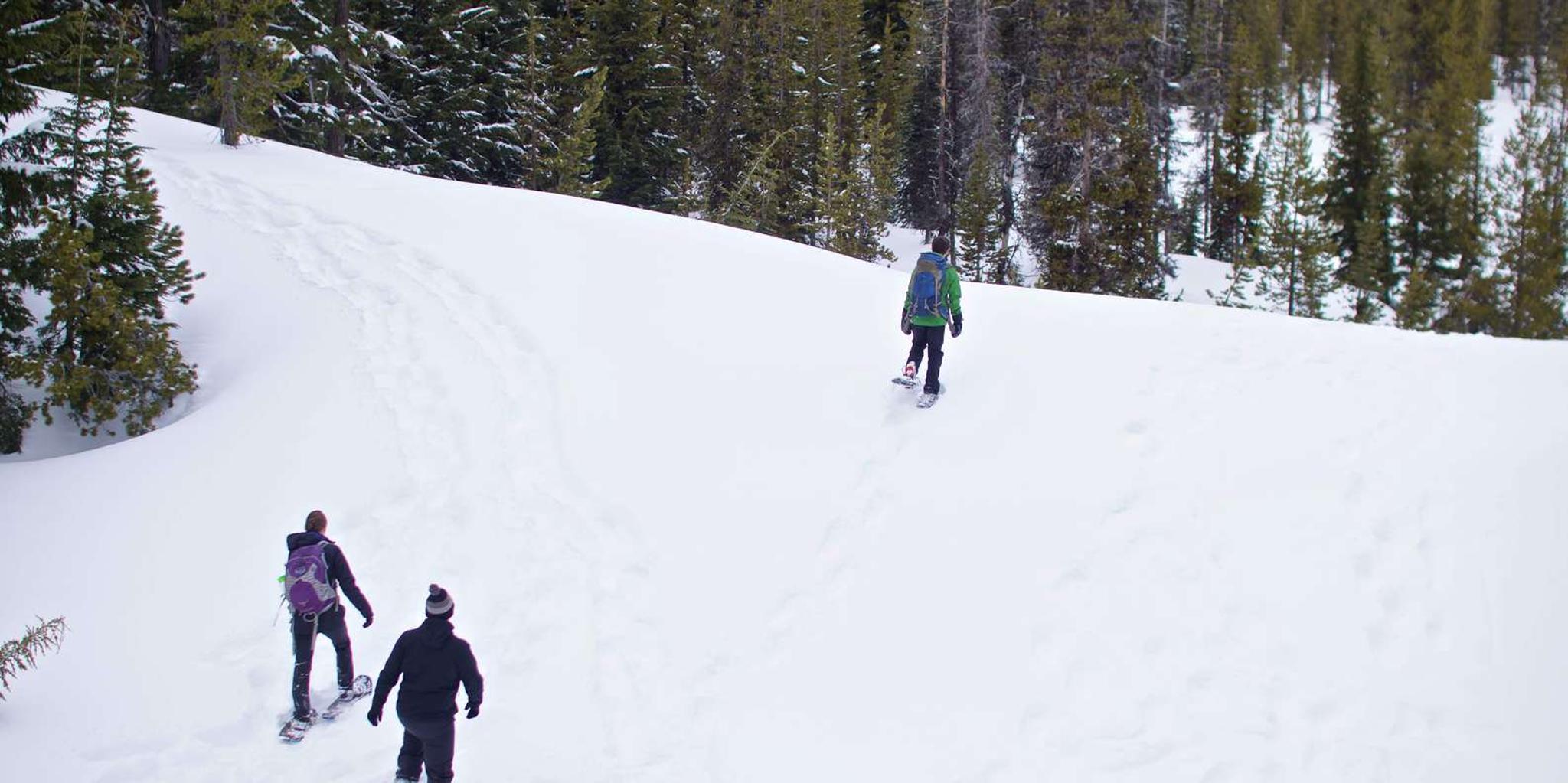 Bend Snowshoe Tour with Brews and Views - Image 3