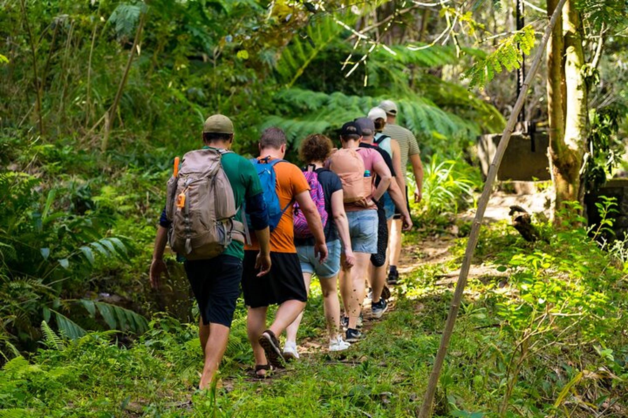 Maui Waterfall & Rainforest Hiking Adventure - Image 3