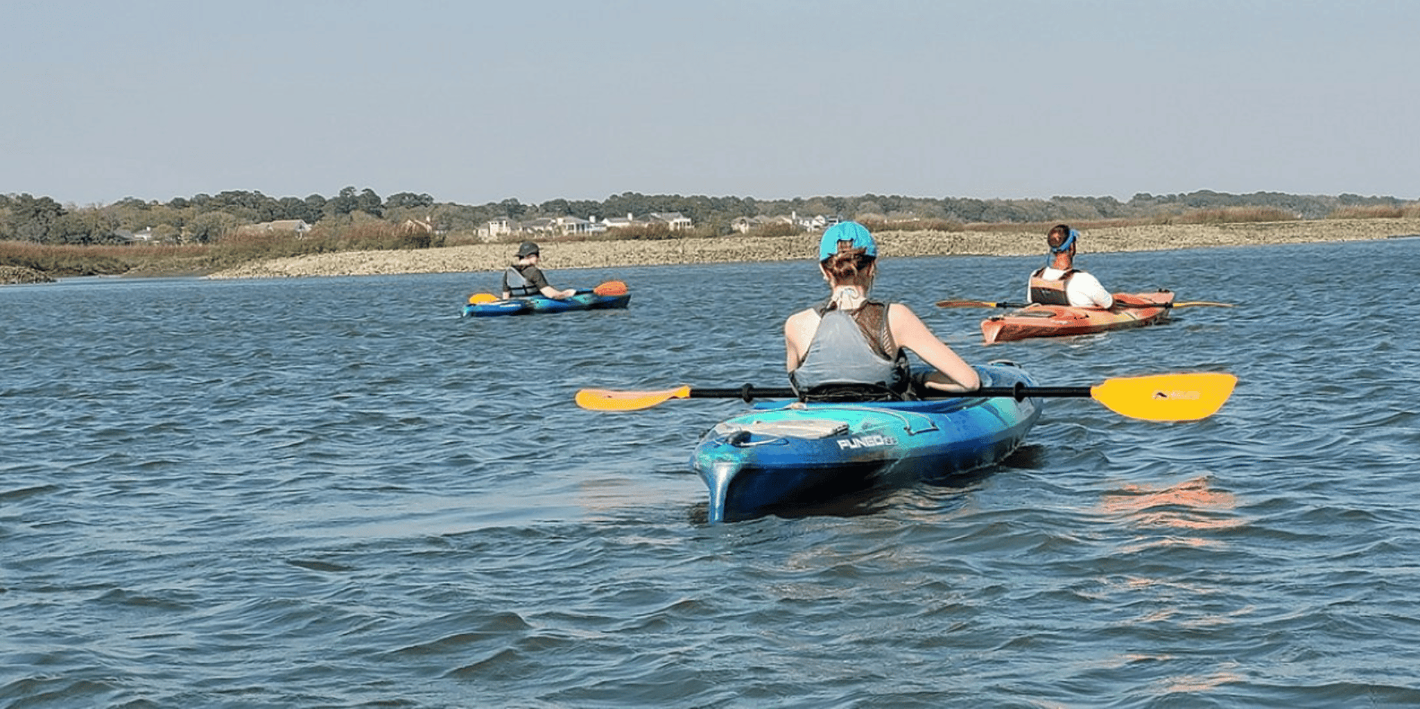 Hilton Head Kayak Dolphin Nature Tour 2 hr - Image 5