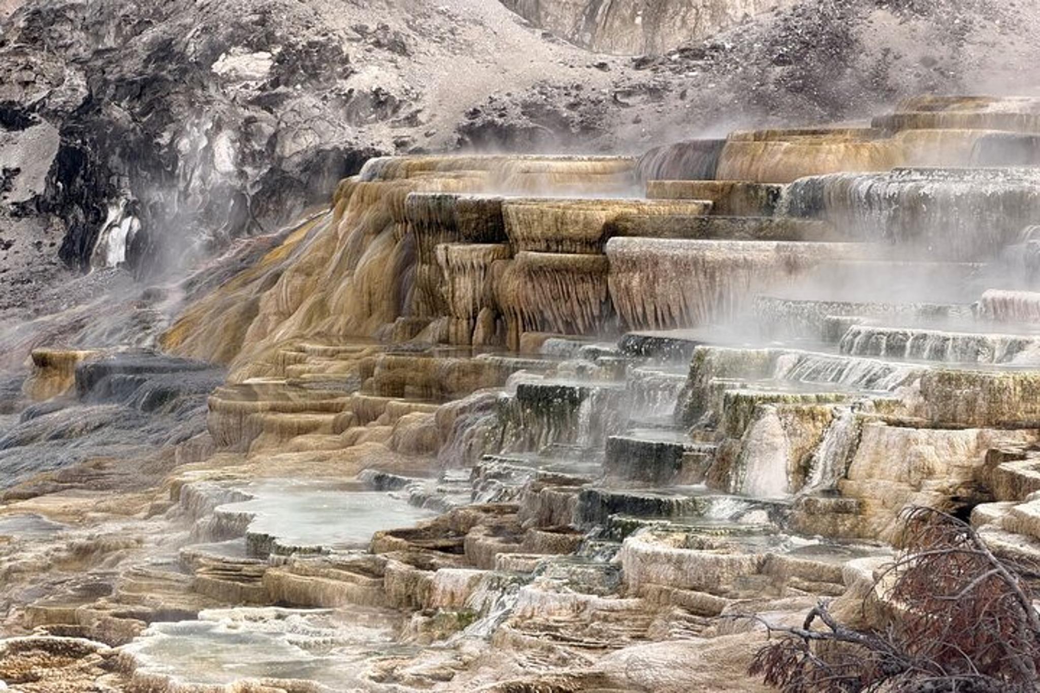 Yellowstone National Park Private Guided Tour