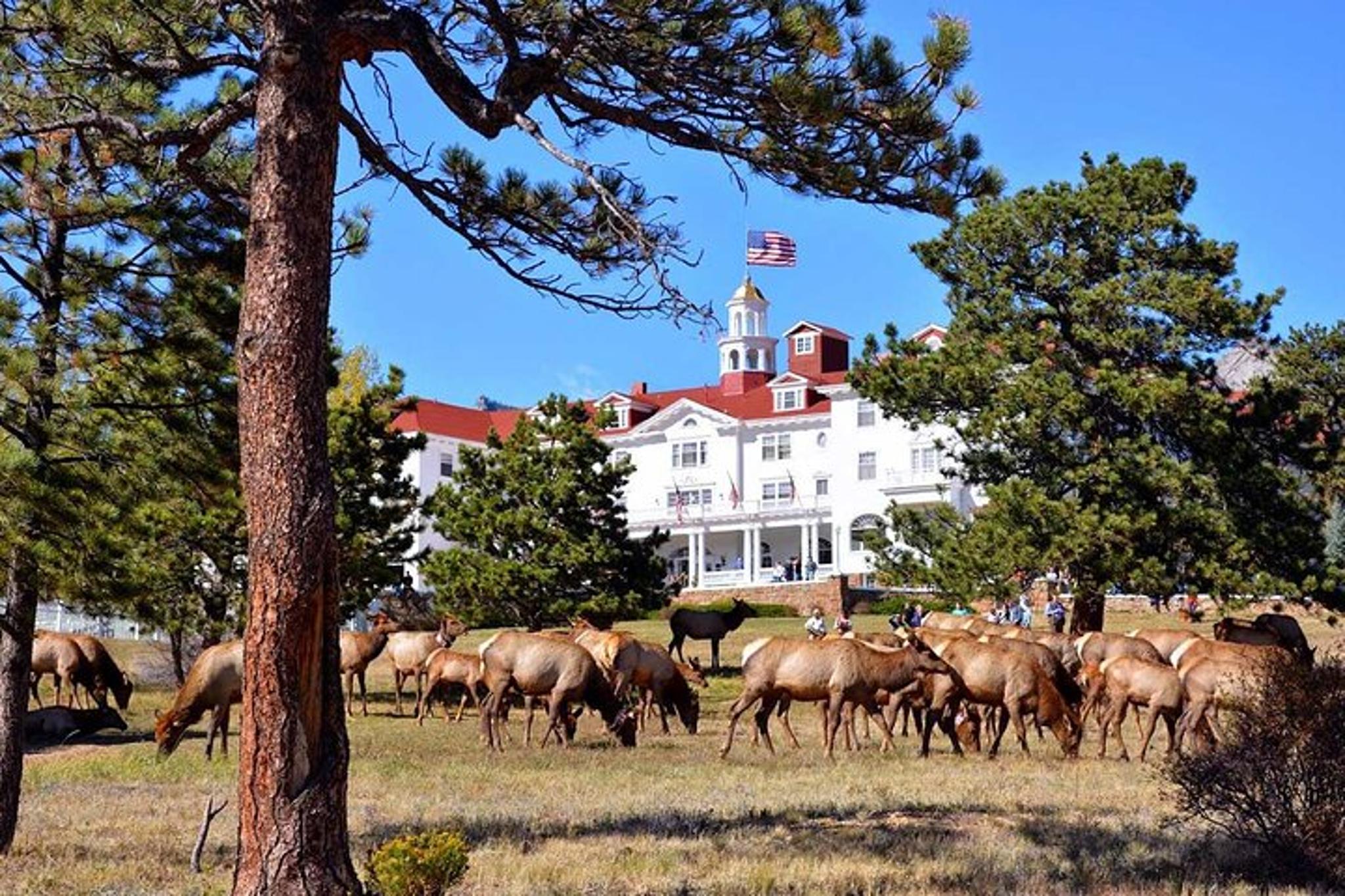 Rocky Mountain National Park Day Tour - Image 3