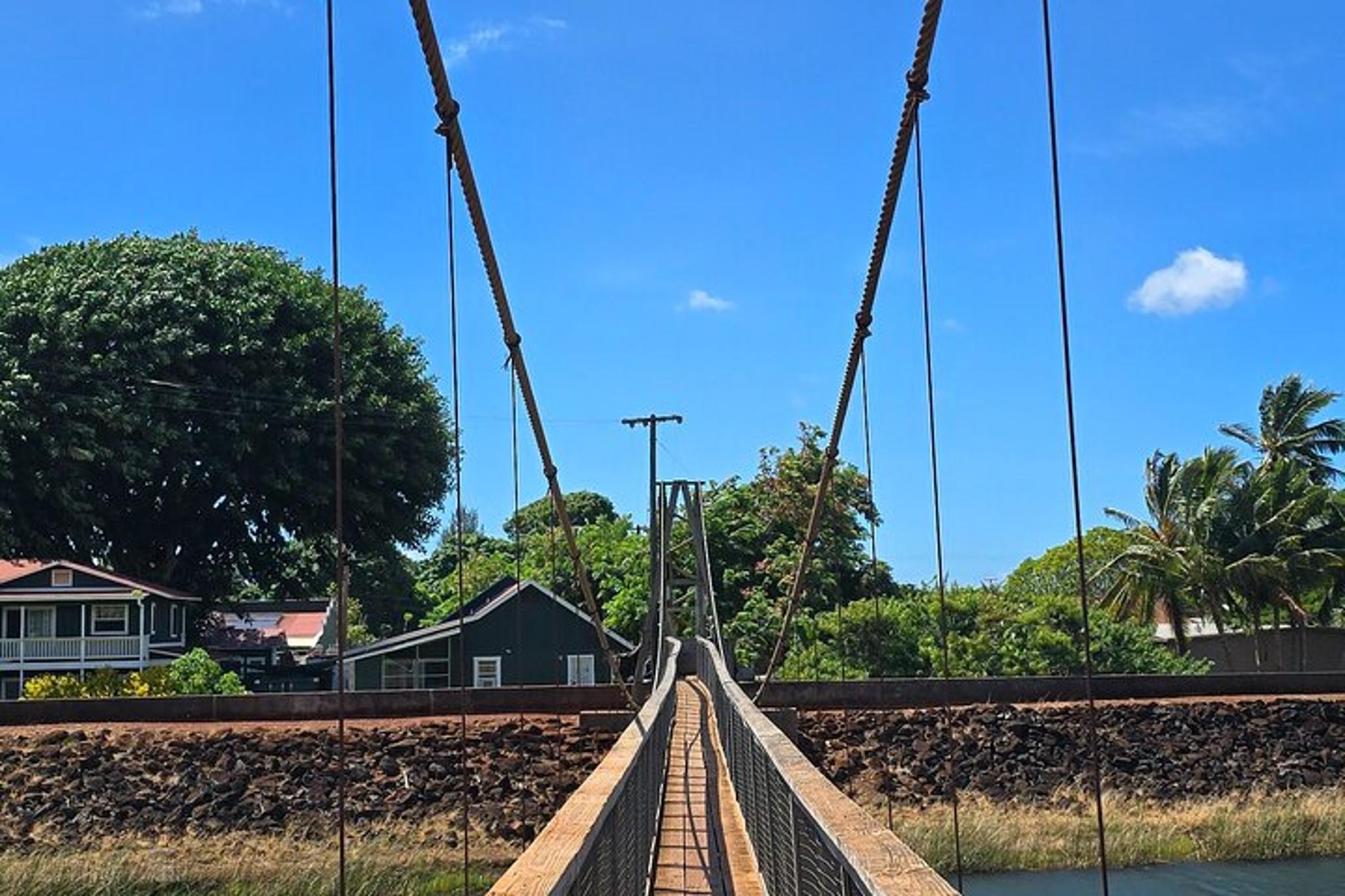 Kauai Island Day Trip - Image 6