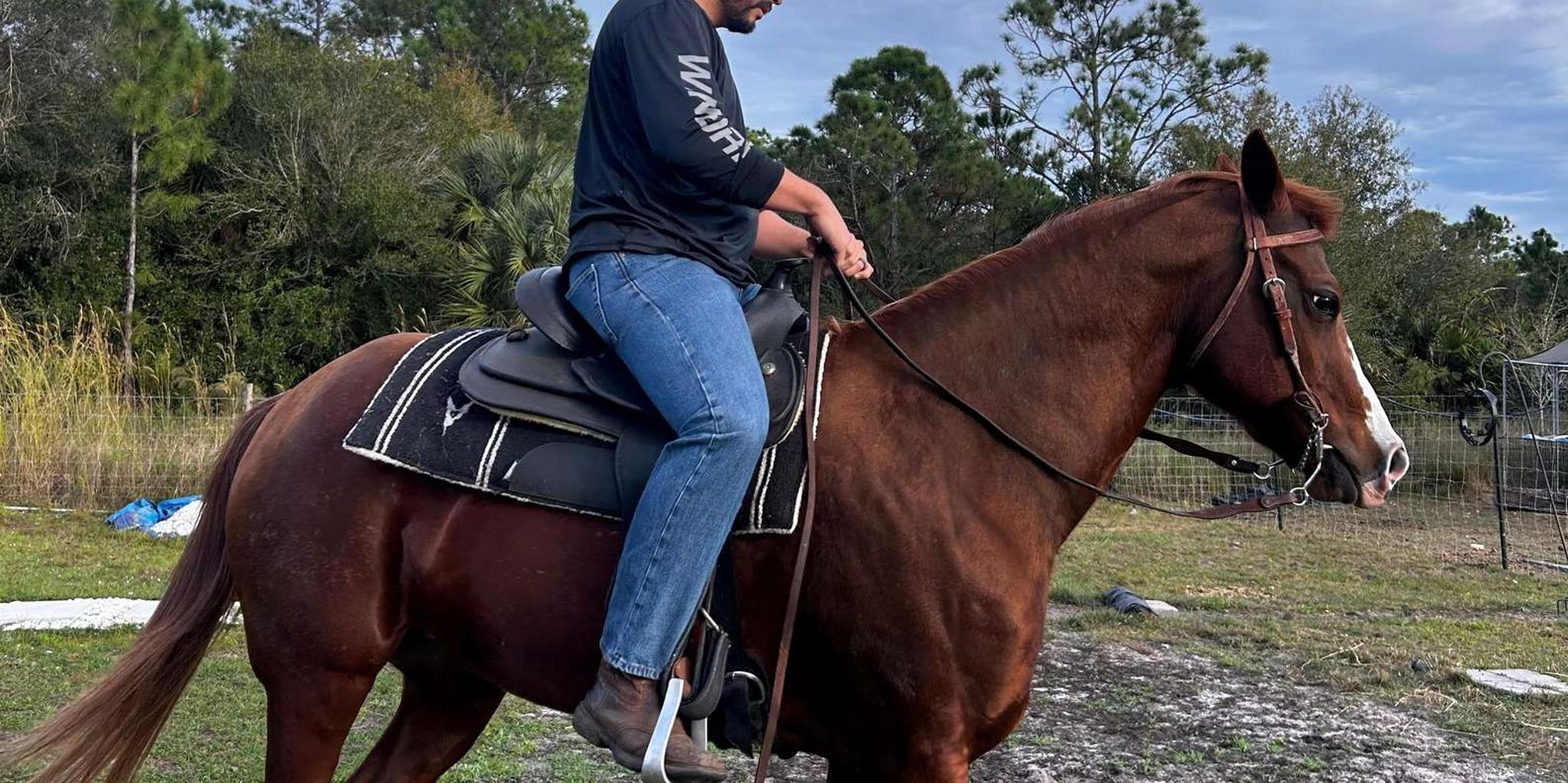 Miami Horseback Riding Tour with Instructor 1 hr - Image 6