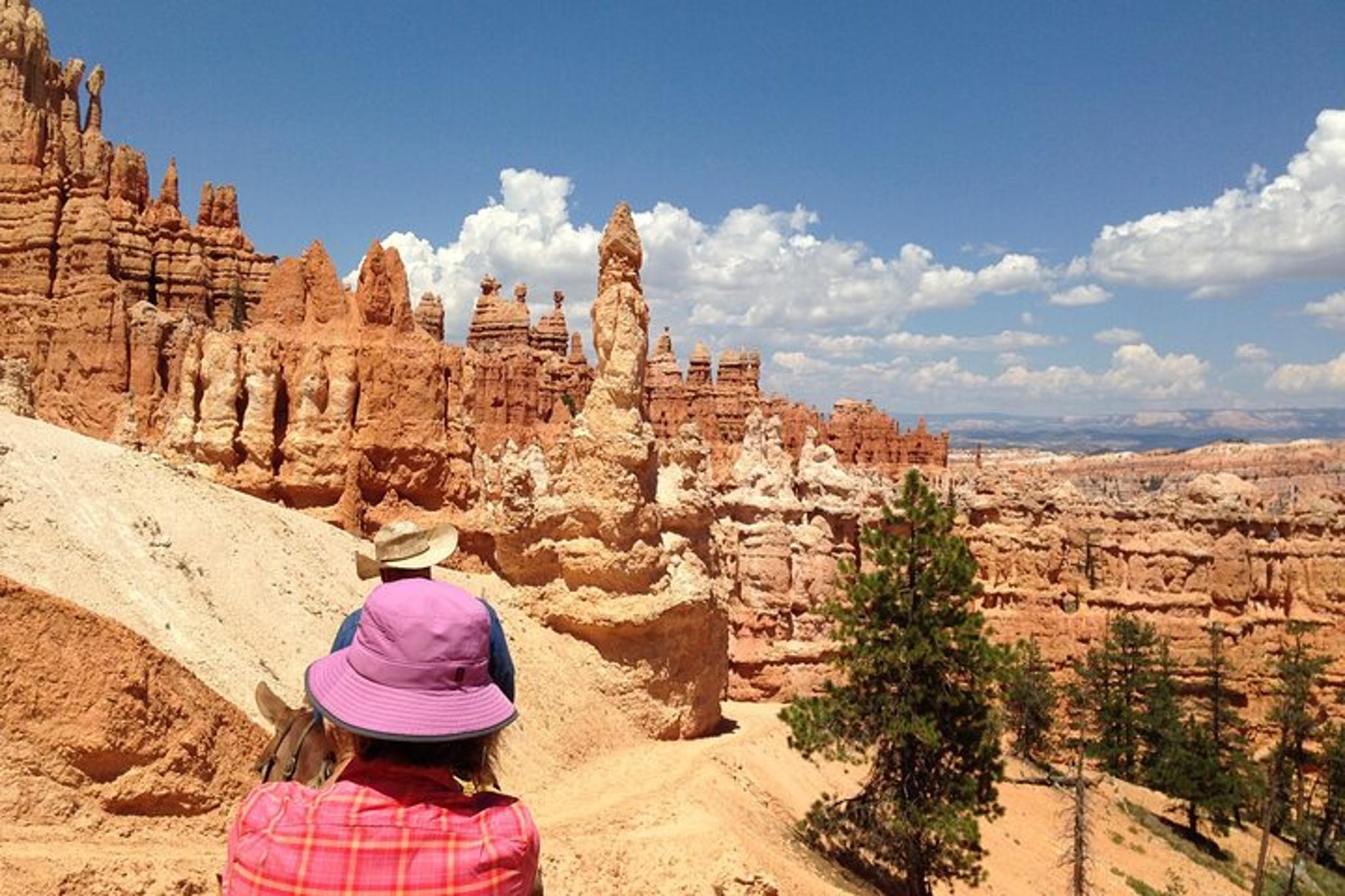 Los Angeles to Utah Parks 6-Day Tour - Image 3