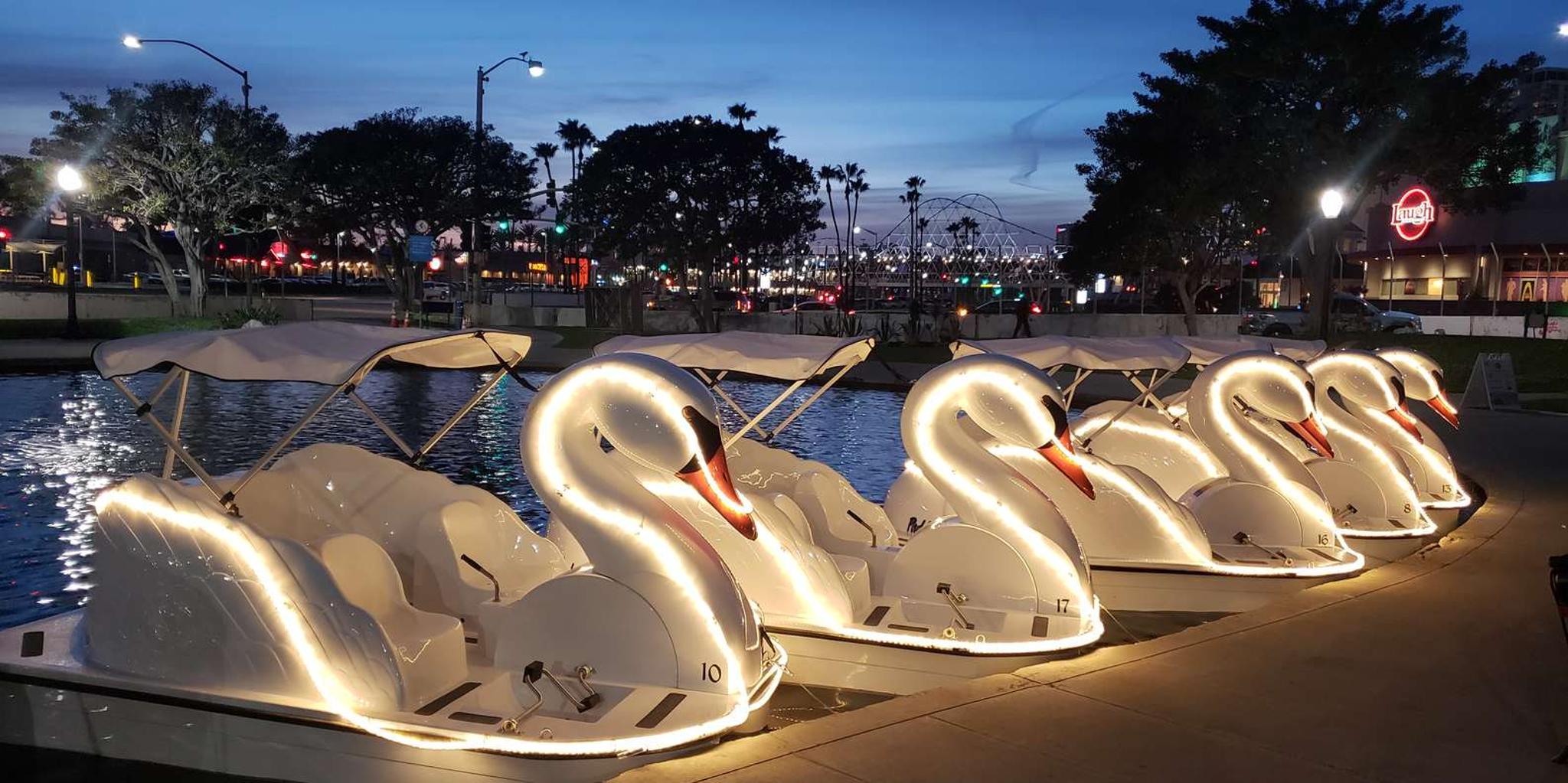 Long Beach Swan Boat Rental at Rainbow Lagoon - Image 2